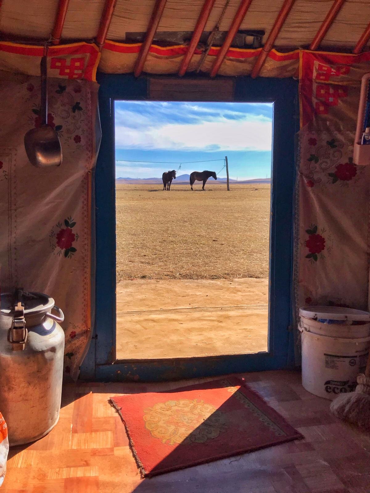 Mongolia Yurt.JPG