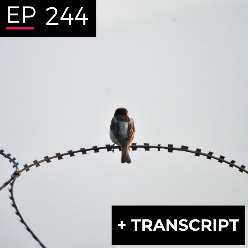 EP 244: Inside the Wire - David Geye