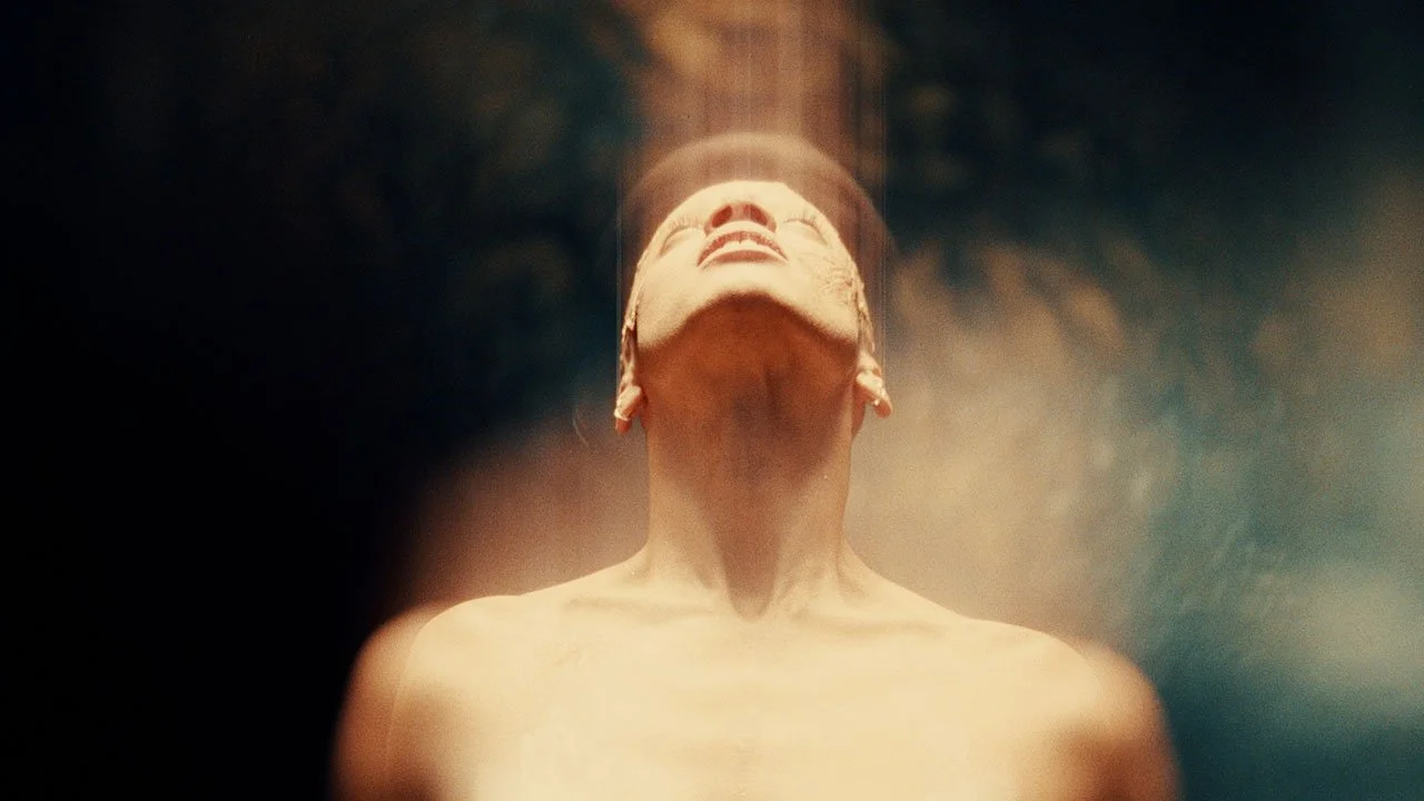 Consider me Venus - Sei Selina