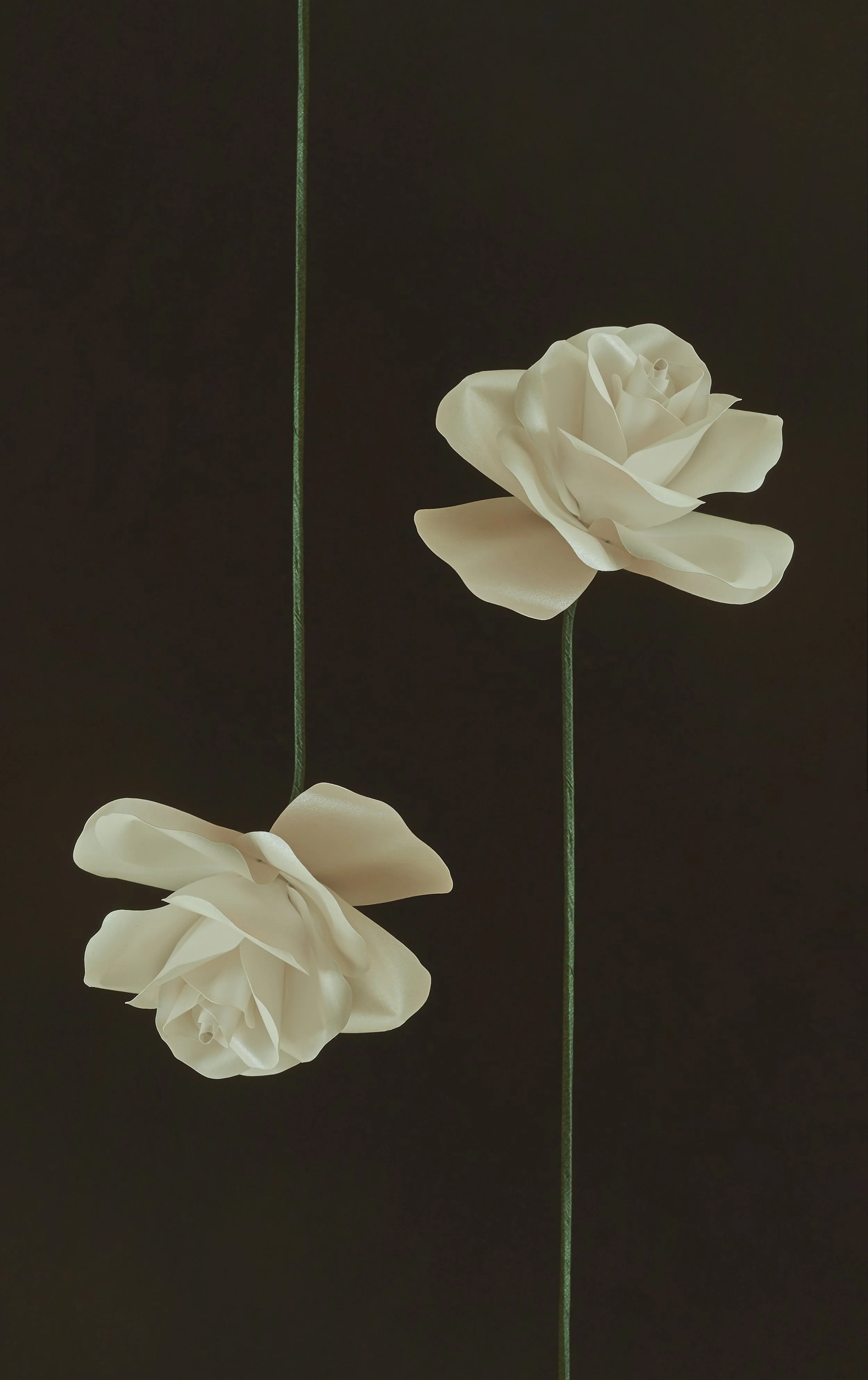 Carta + Wood0738.jpg