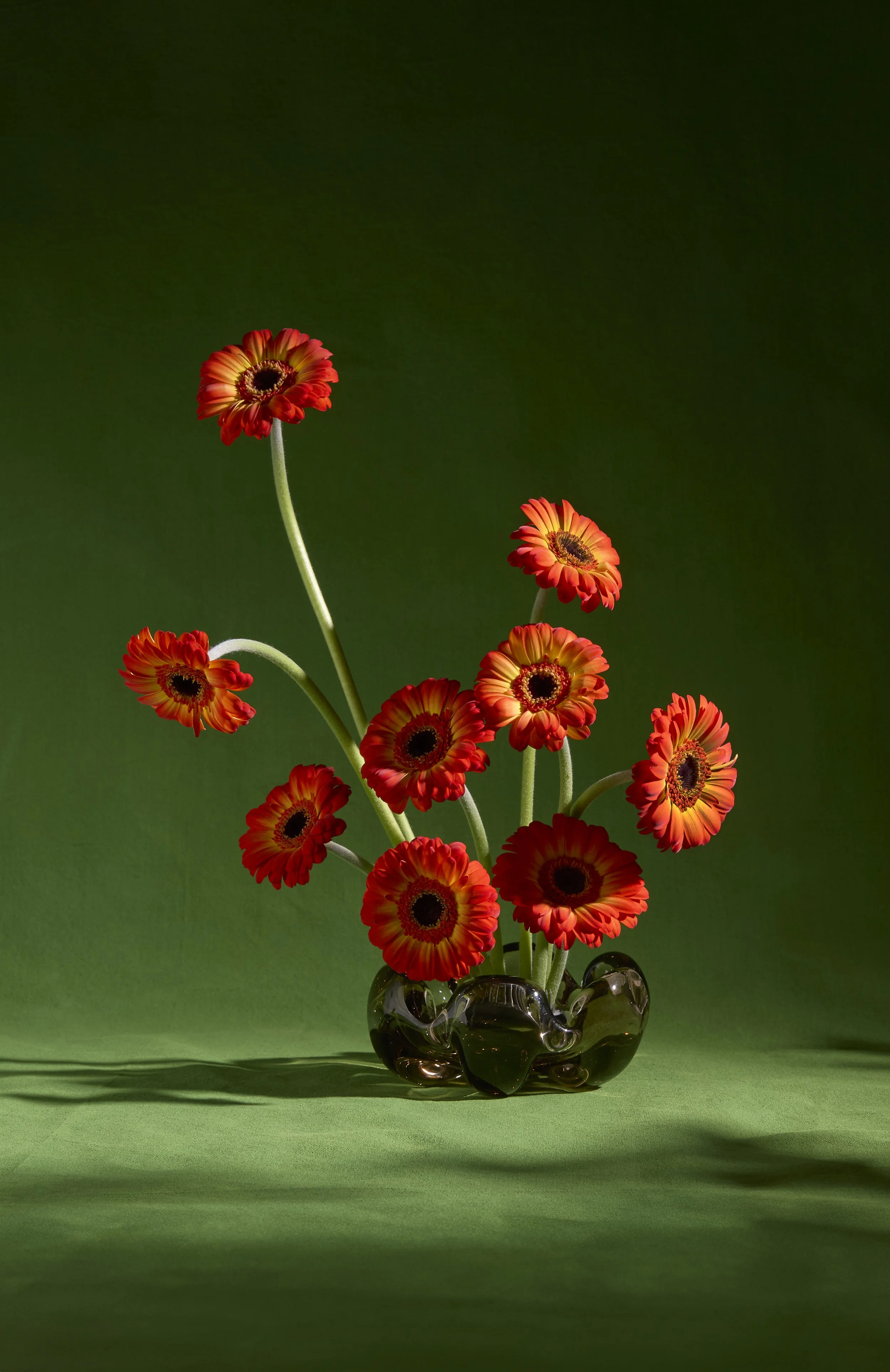 FLORAL TEST0242.jpg