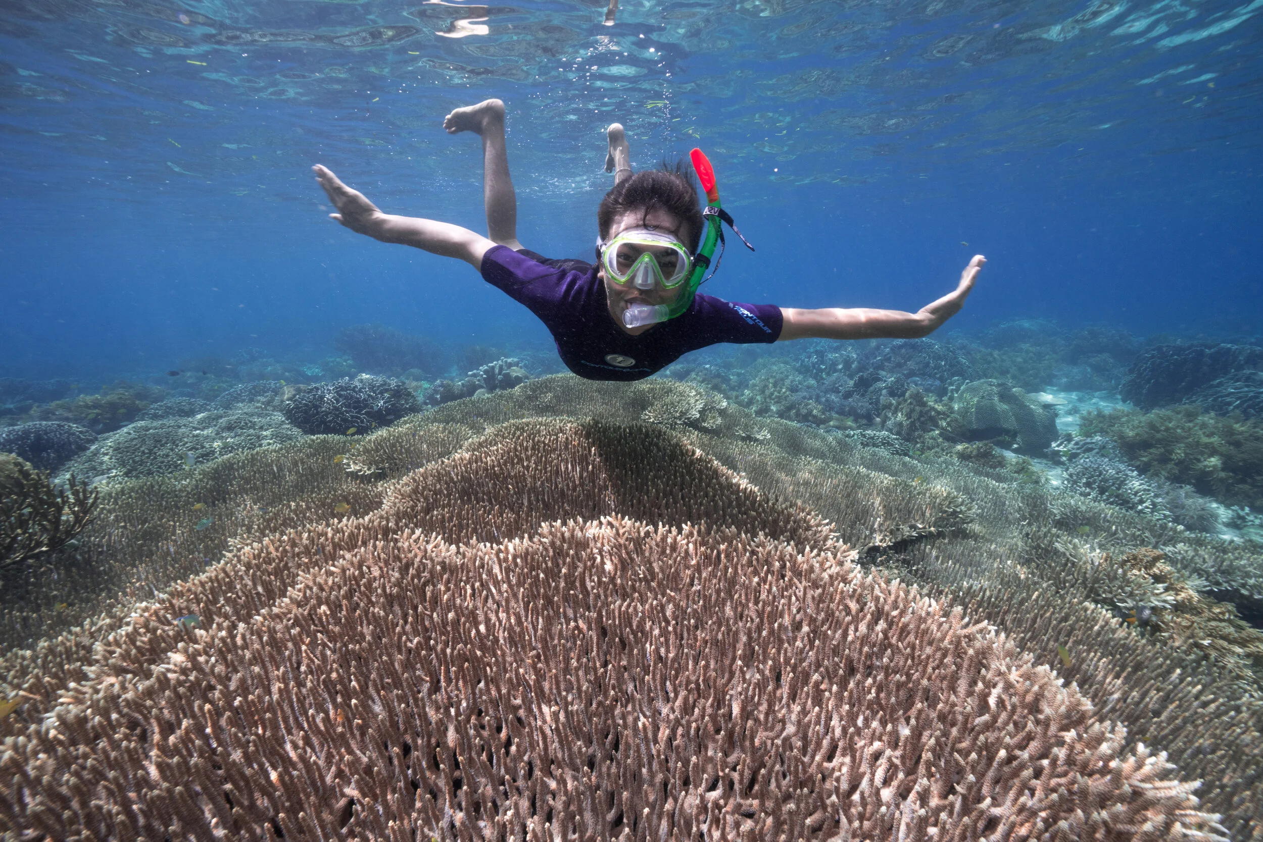 New Video: Protecting the Coral Triangle