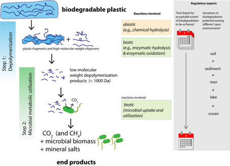 Lincean Academy Plastics and Circular Economy Conference: Key messages from Day 1