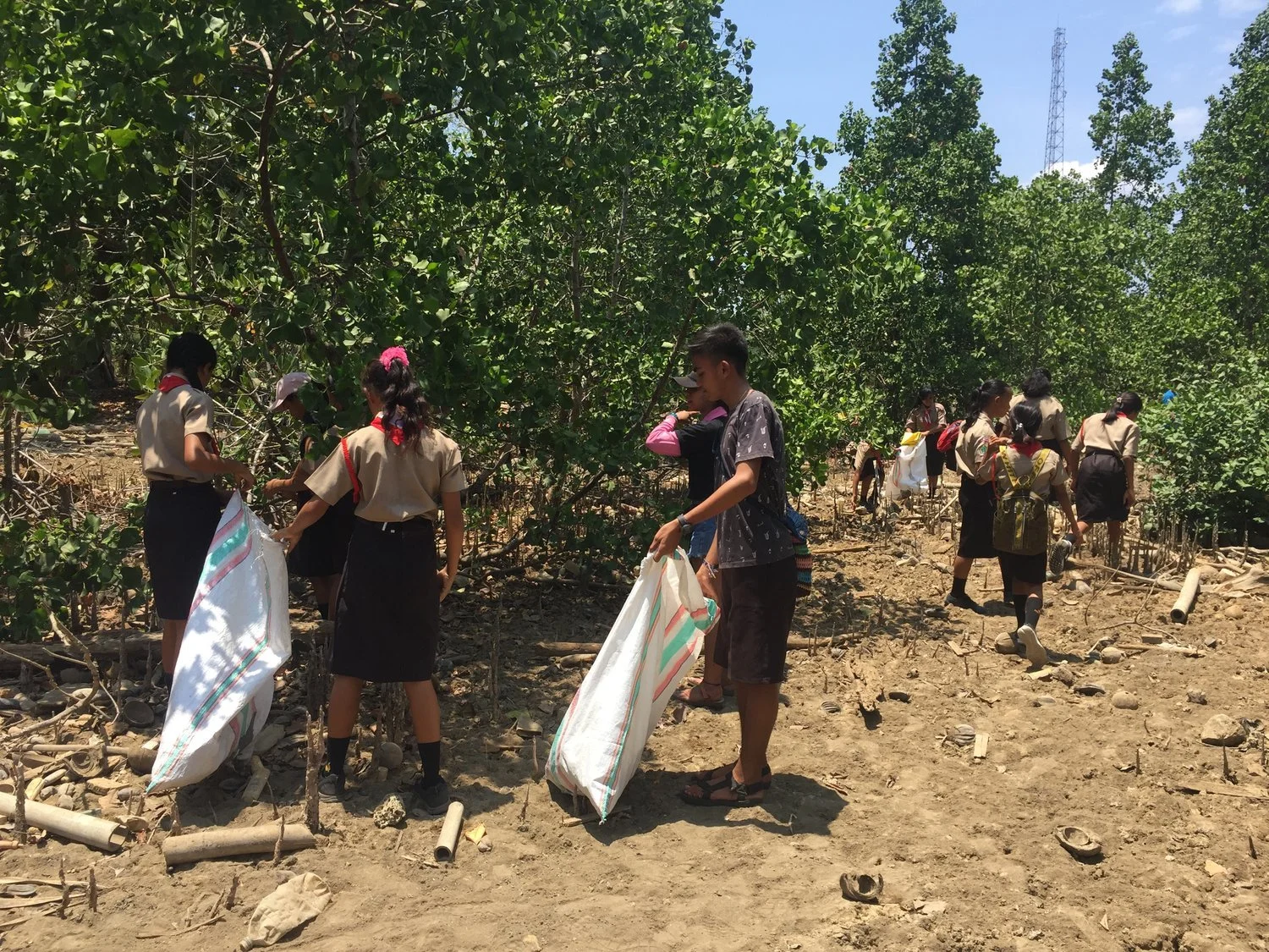 World Clean-up Day 2019