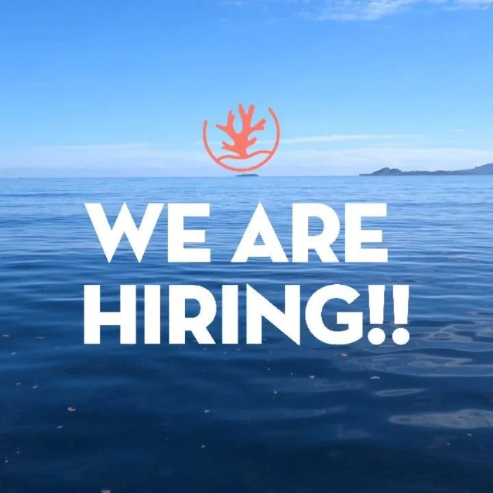 WE&rsquo;RE HIRING!!!! 

We are looking for a Graphic &amp; Media Content Creator to join our team in Manado.
You will manage our social media channels, document our field activities, and ensure consistent use of NTTI&rsquo;s visual identity to help 