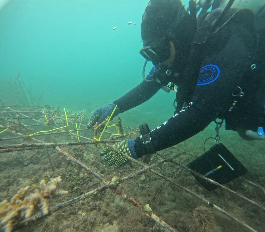 Learning to Protect the Ocean. Underwater