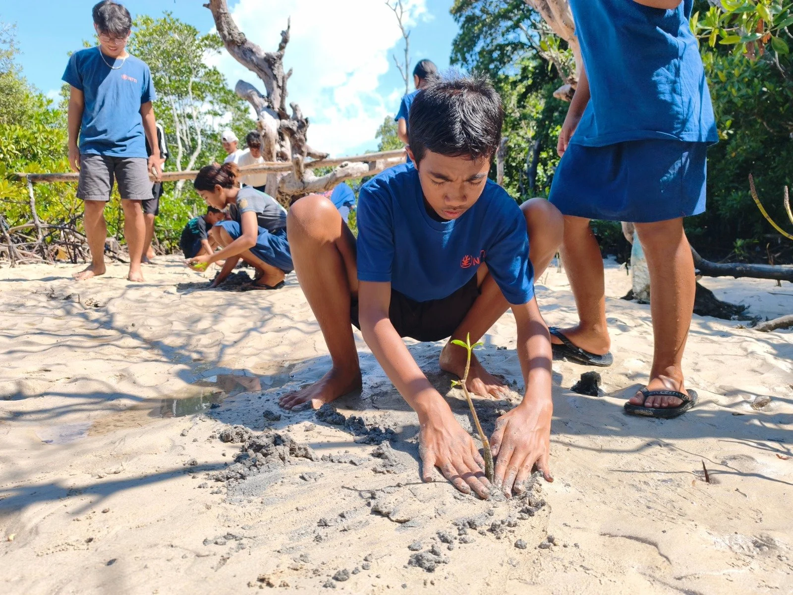 School on the Beach: learning that sticks