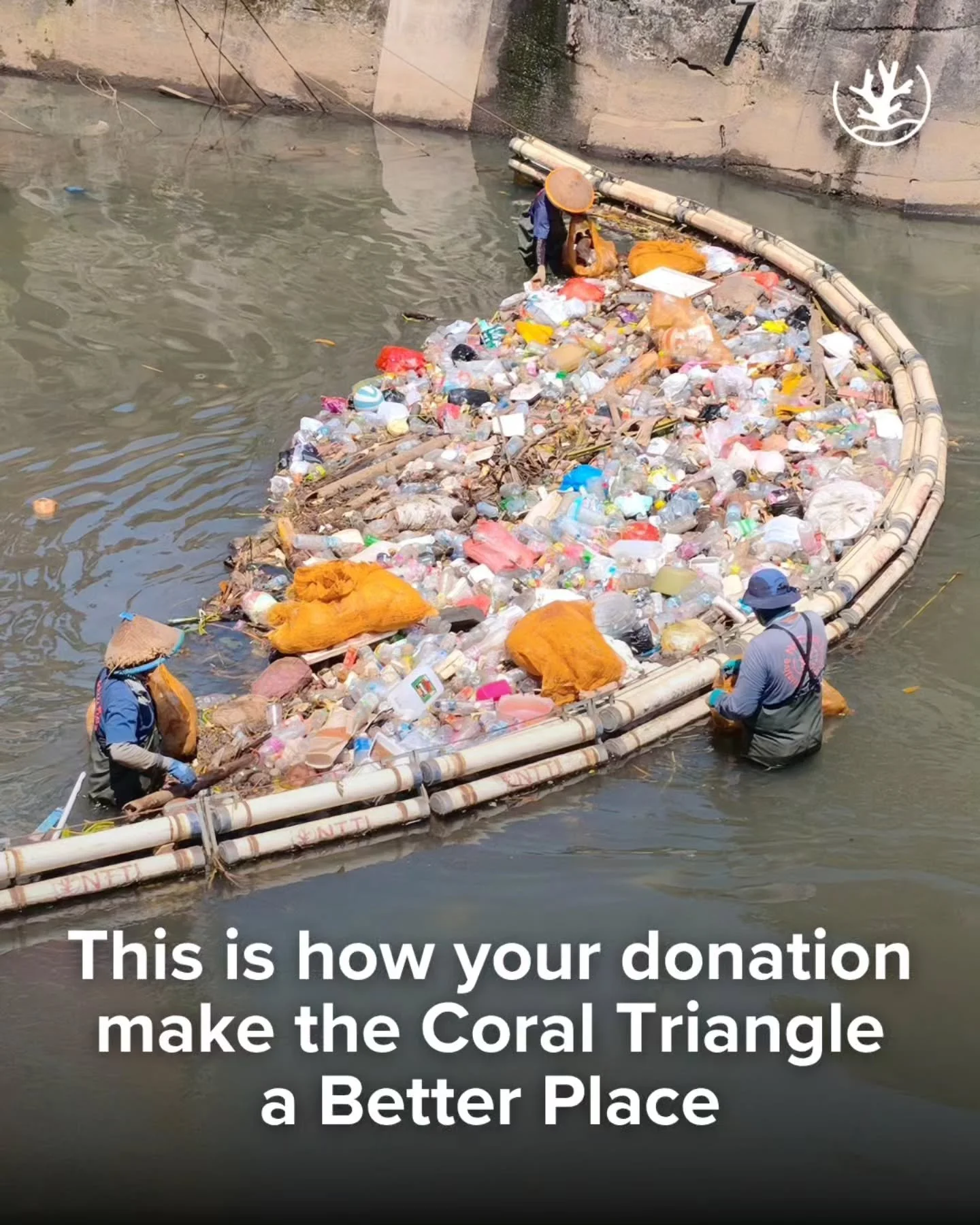 Our work to protect the ocean from plastic pollution is made possible through the support we receive. Every effort is part of a long-term commitment to protect North Sulawesi, right in the heart of the Coral Triangle🪸

And, honestly, protecting this