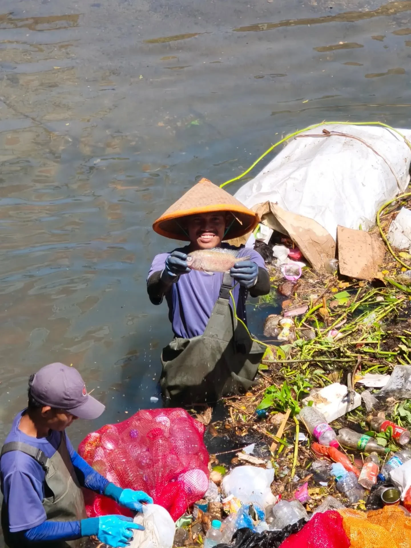 This is a warning we cannot afford to ignore🚨

During one of our regular cleanups, our River Gang found a dead Nile tilapia (ikan nila) trapped among the plastic waste. We cannot say that plastic caused its death without further investigation. But f