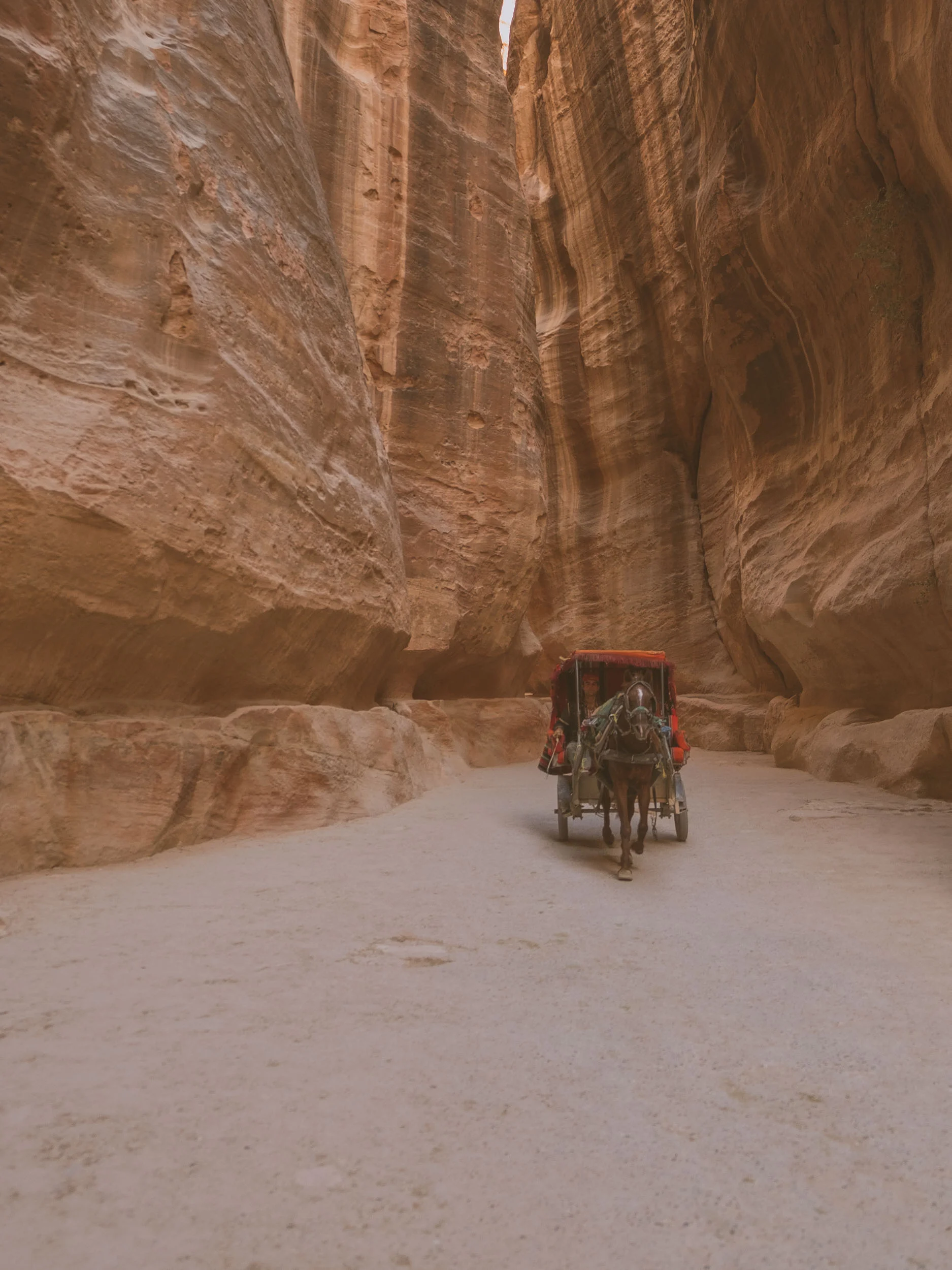 10 day road trip in Jordan, visiting places such as Jerash, Dead Sea, Red Sea, Wadi Rum desert, Petra, King's higtway, Madaba and Amman.