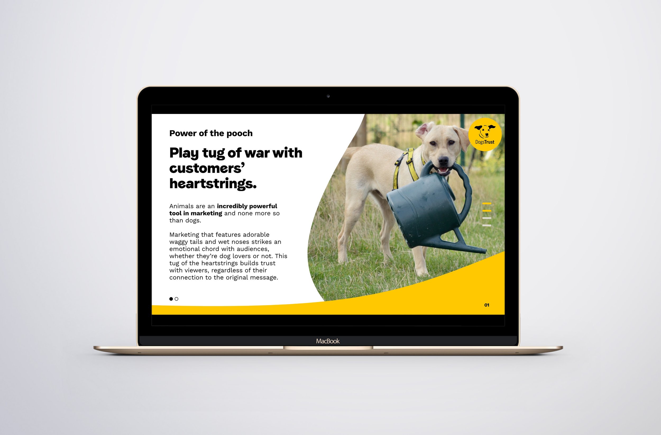 dogs-trust4.jpg