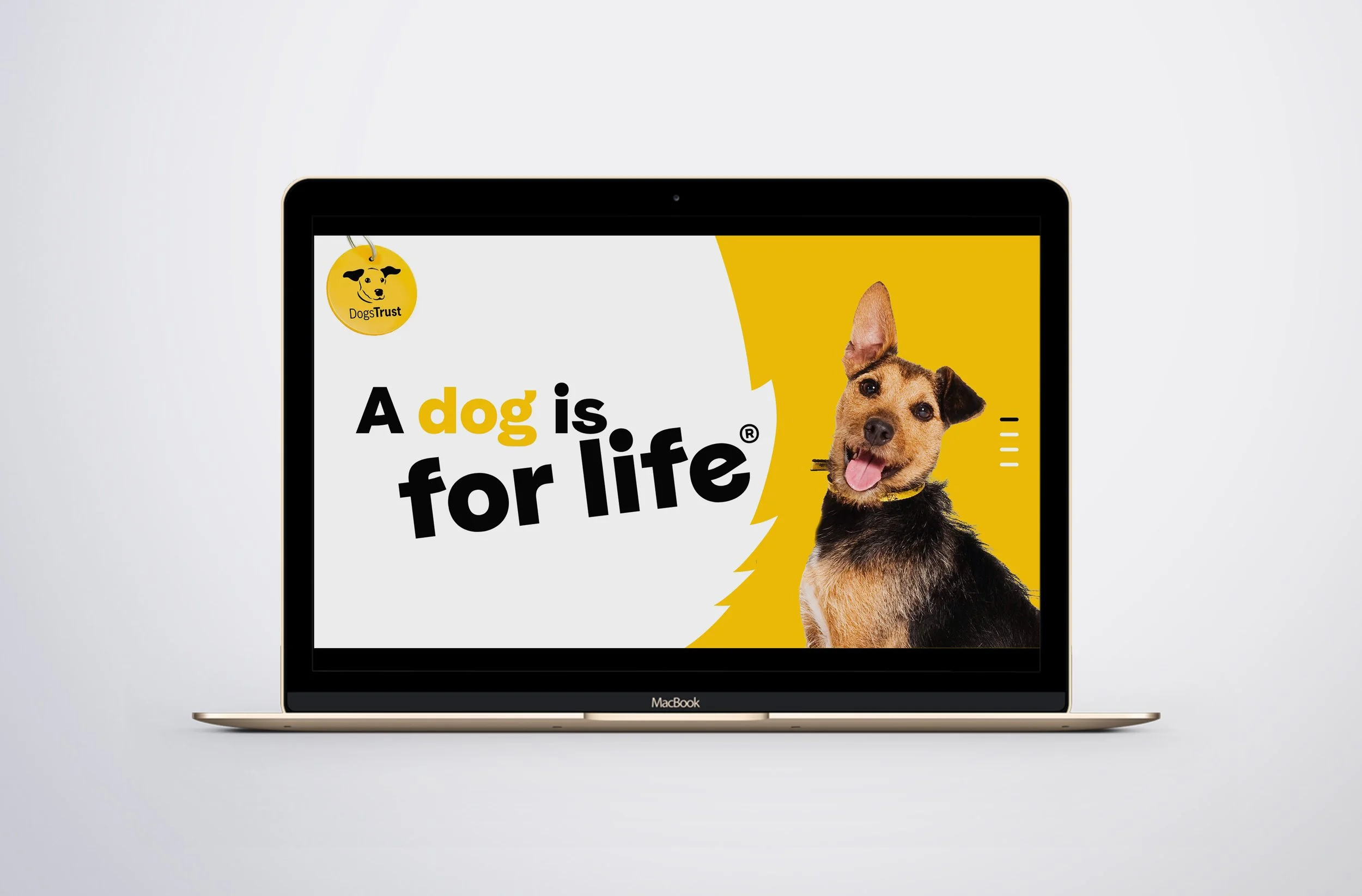 DOGStrust1.jpg