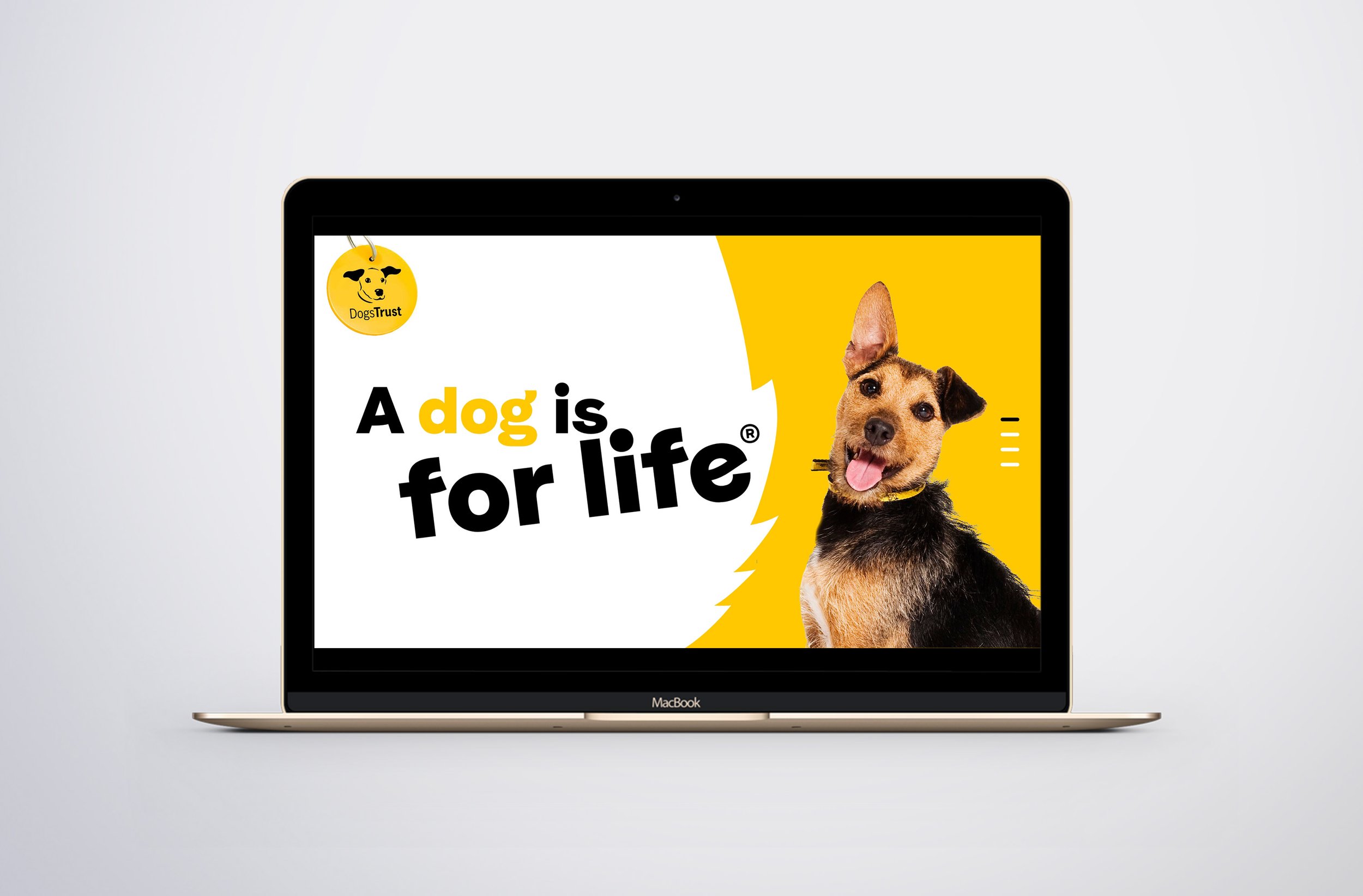 dogs-trust1.jpg