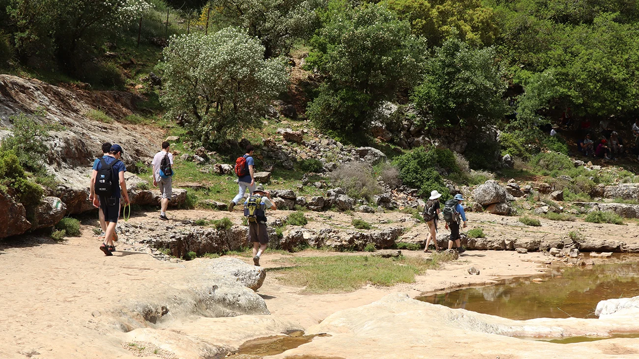 Lab retreat - Kziv stream, 2019