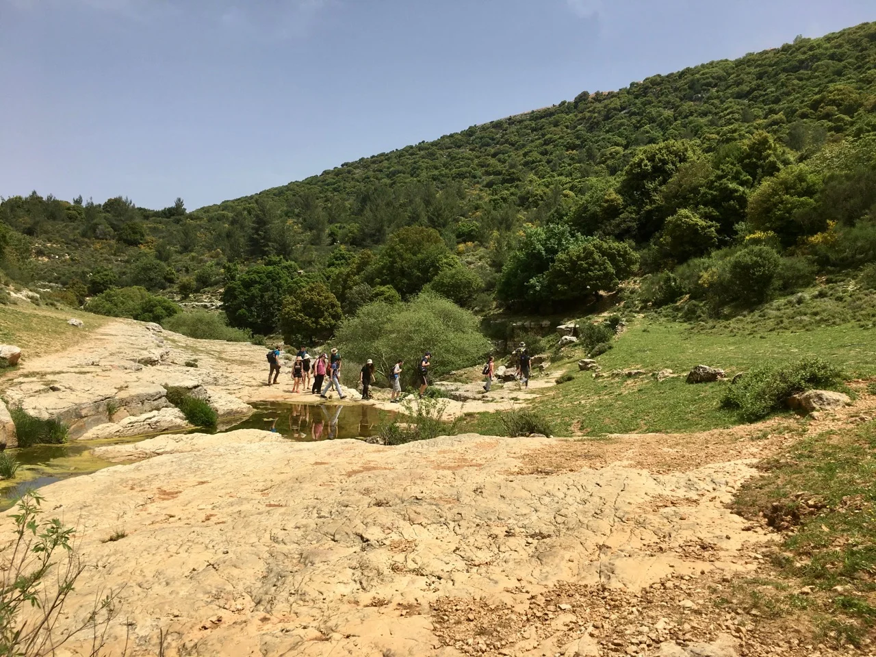 Lab retreat - Kziv stream, 2019