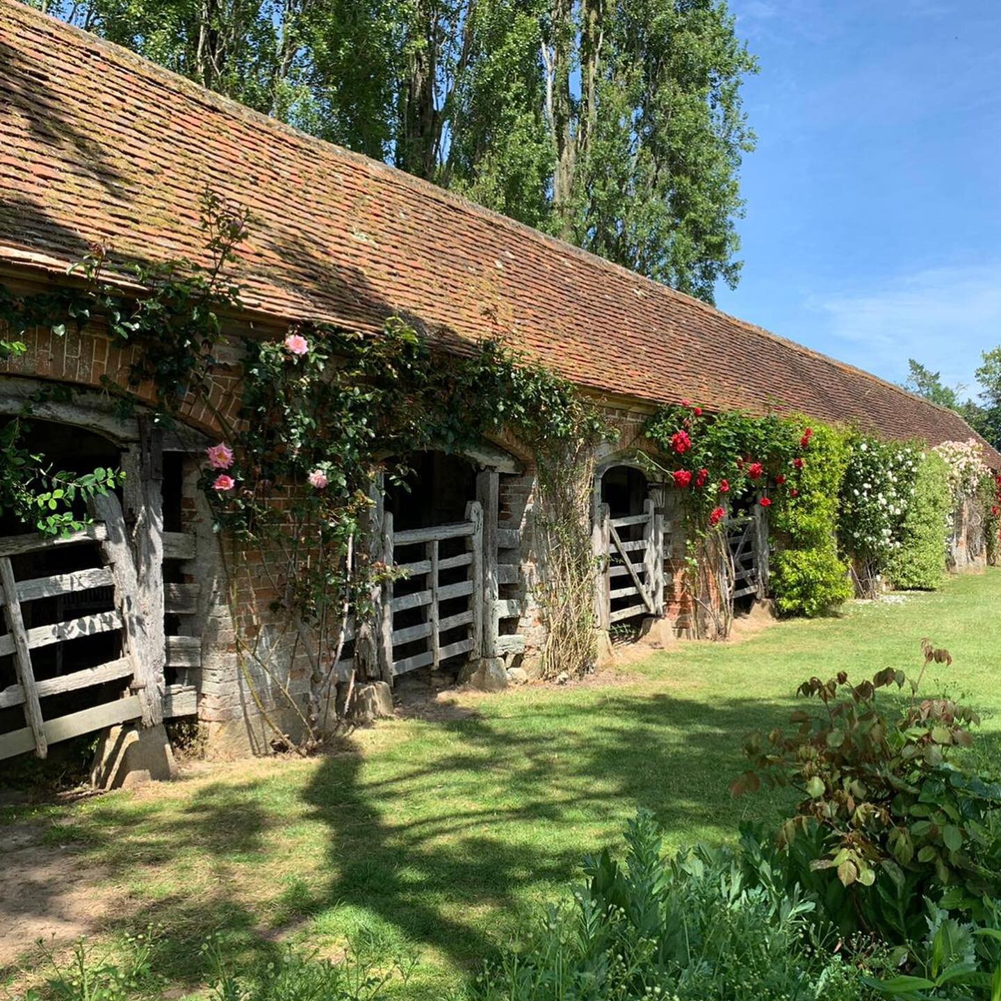Saskia here 🙋🏻&zwj;♀️- With holidaying in the UK being the norm this year, in July I ventured to the inspiring Barrington Court Gardens in Somerset as part of a West Country break. The gardens, in part designed by Gertrude Jekyll were a stunning ex