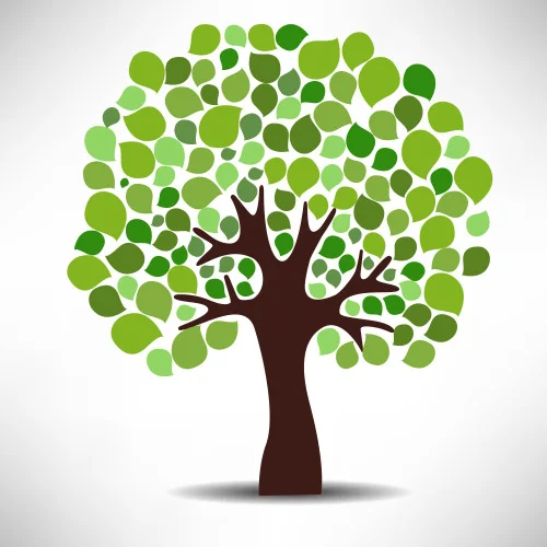 tree.jpg