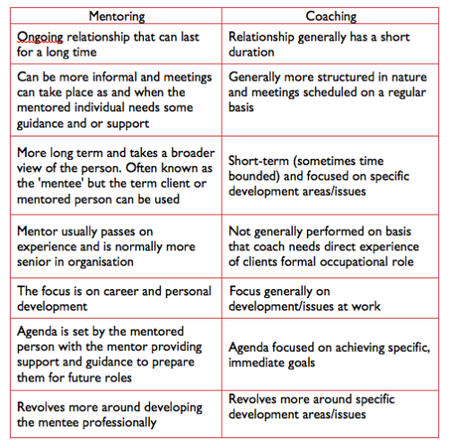 mentoring factsheet.png