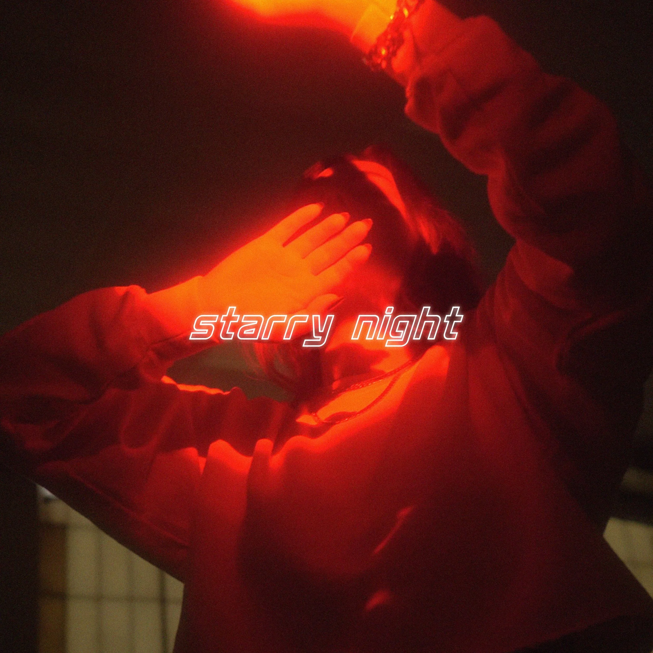 starrynight-artwork.jpeg