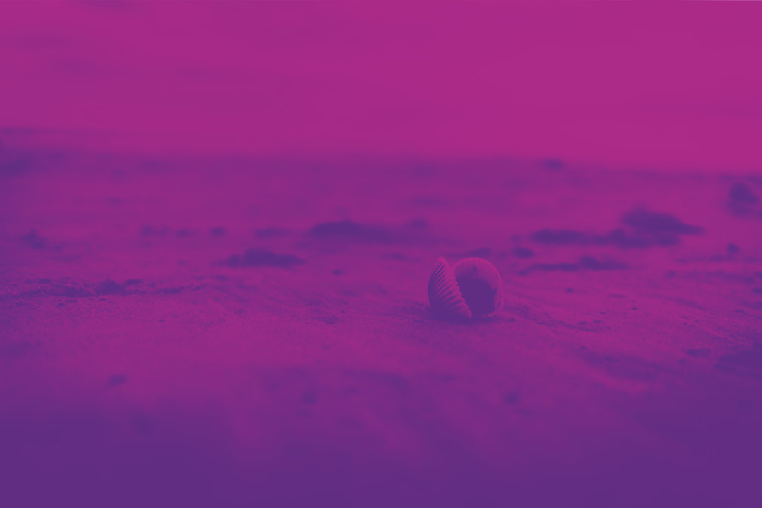 shell-duotone.jpg