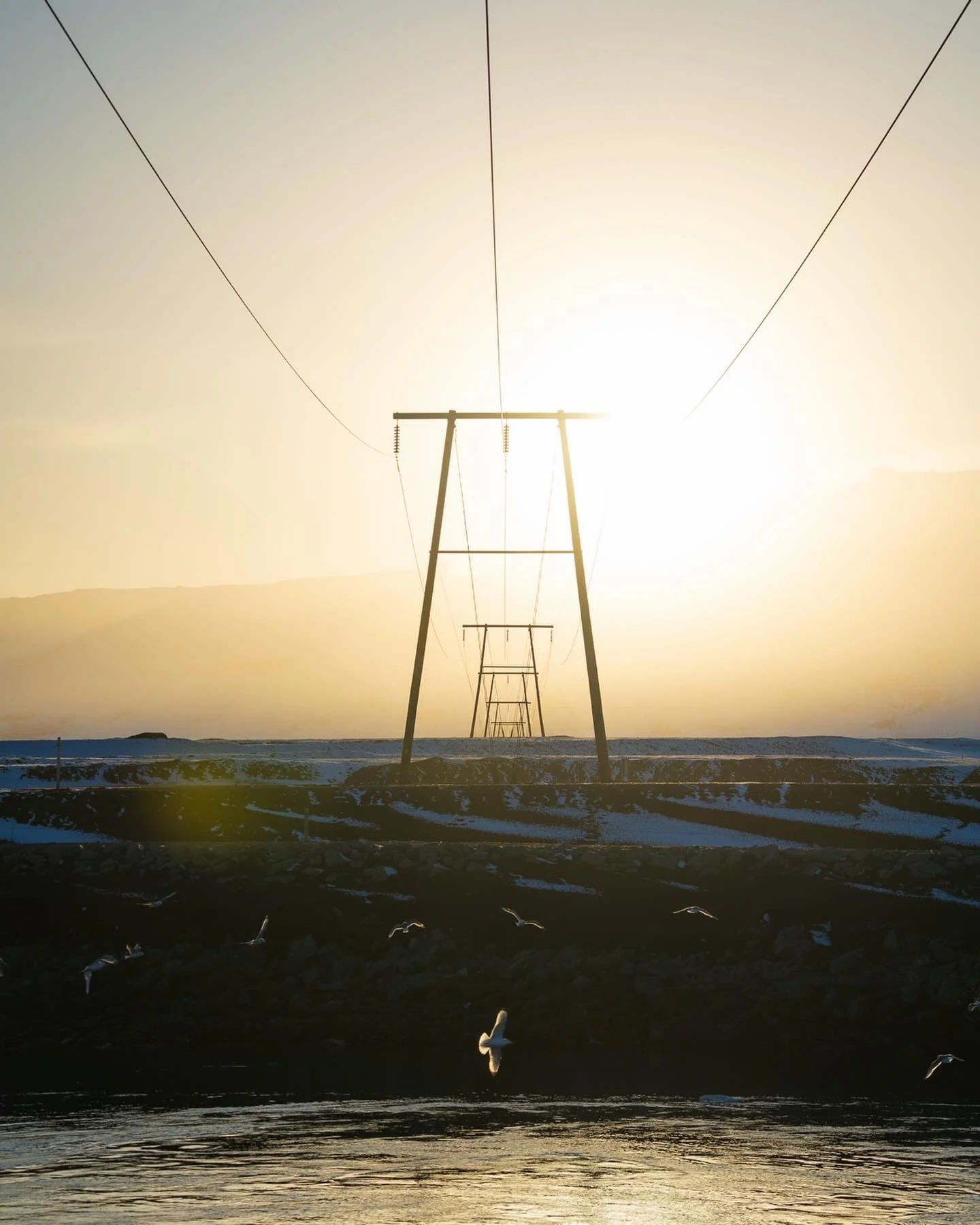 Sym&eacute;trie 🪽🪽🪽