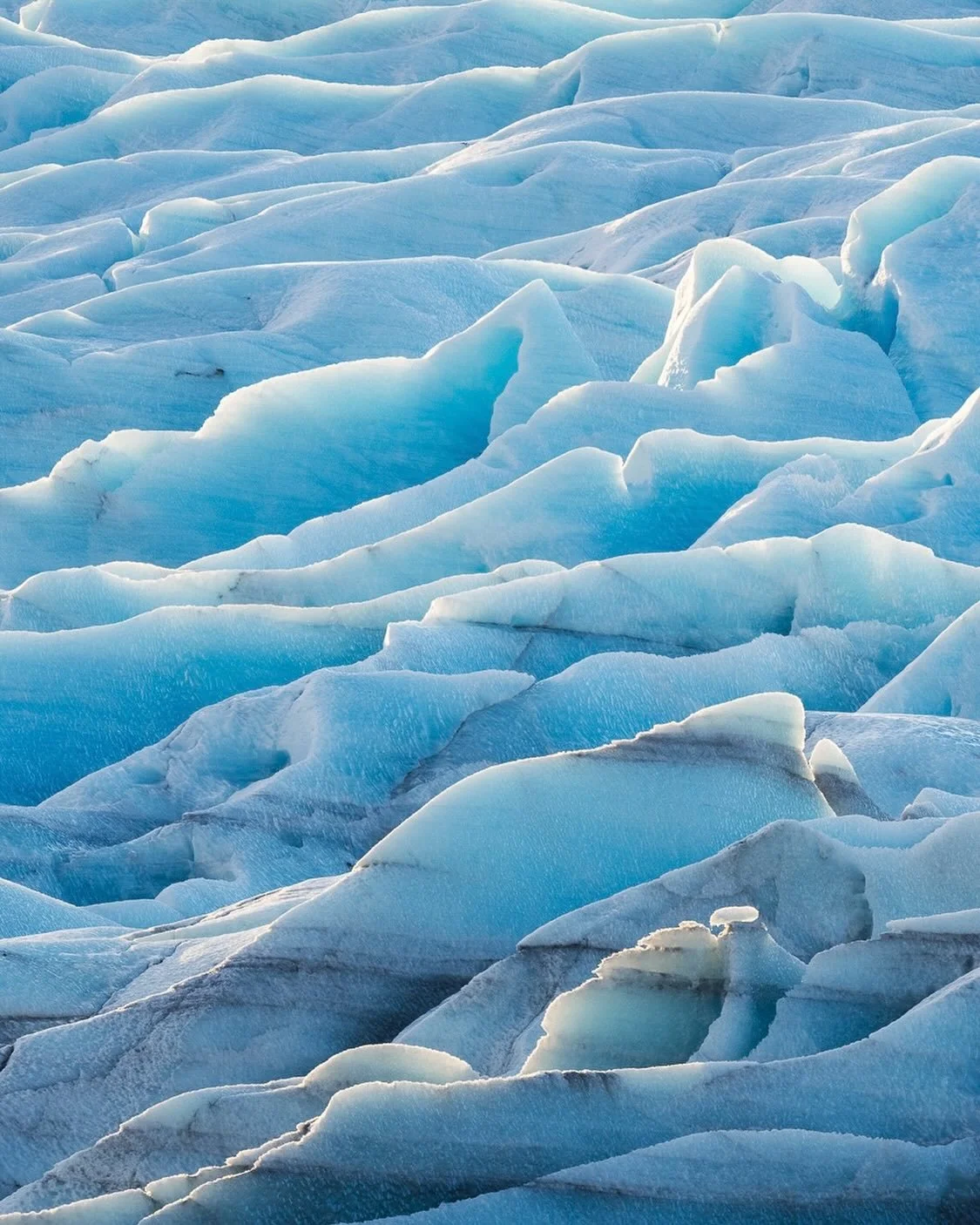 Teintes bleut&eacute;es 🌊🧊🧊