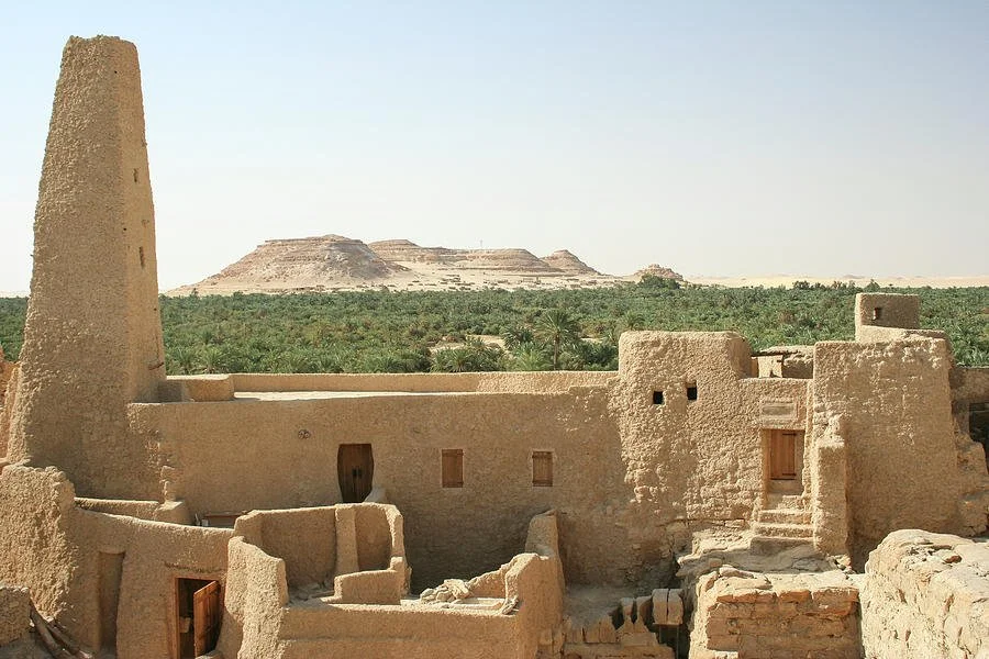 temple-of-the-oracle-of-amun-at-siwa--santiago-urquijo.jpg