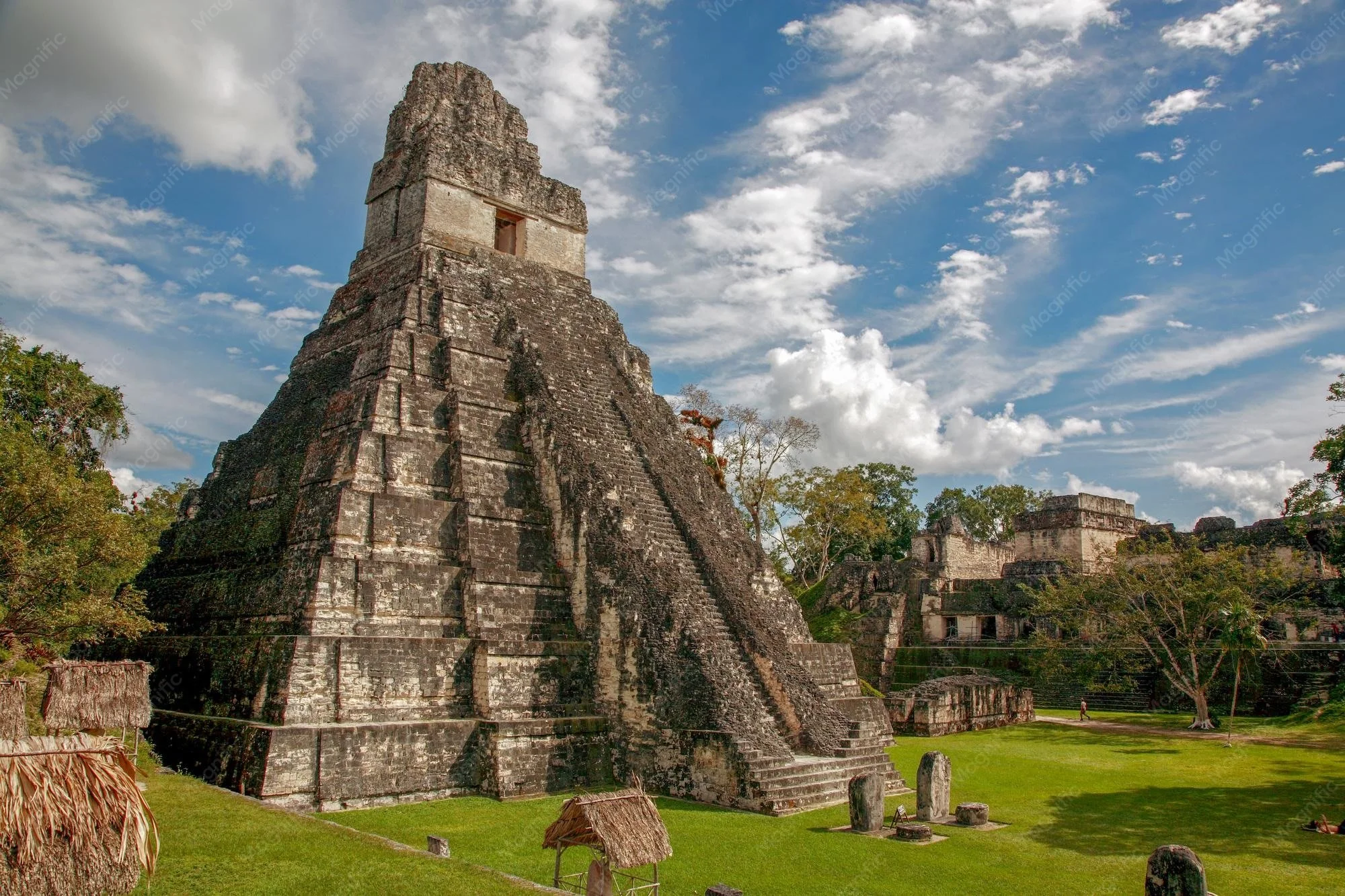 hermosa-vista-tikal-guatemala-dia-soleado-rodeado-naturaleza_665346-13337.jpg