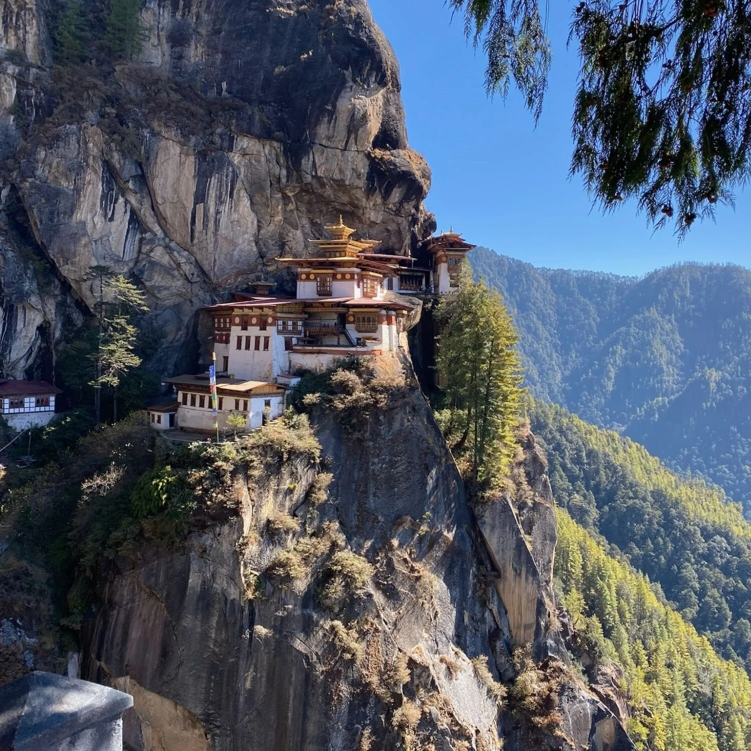 Tigers-Nest_Walk-into-Luxury.jpg