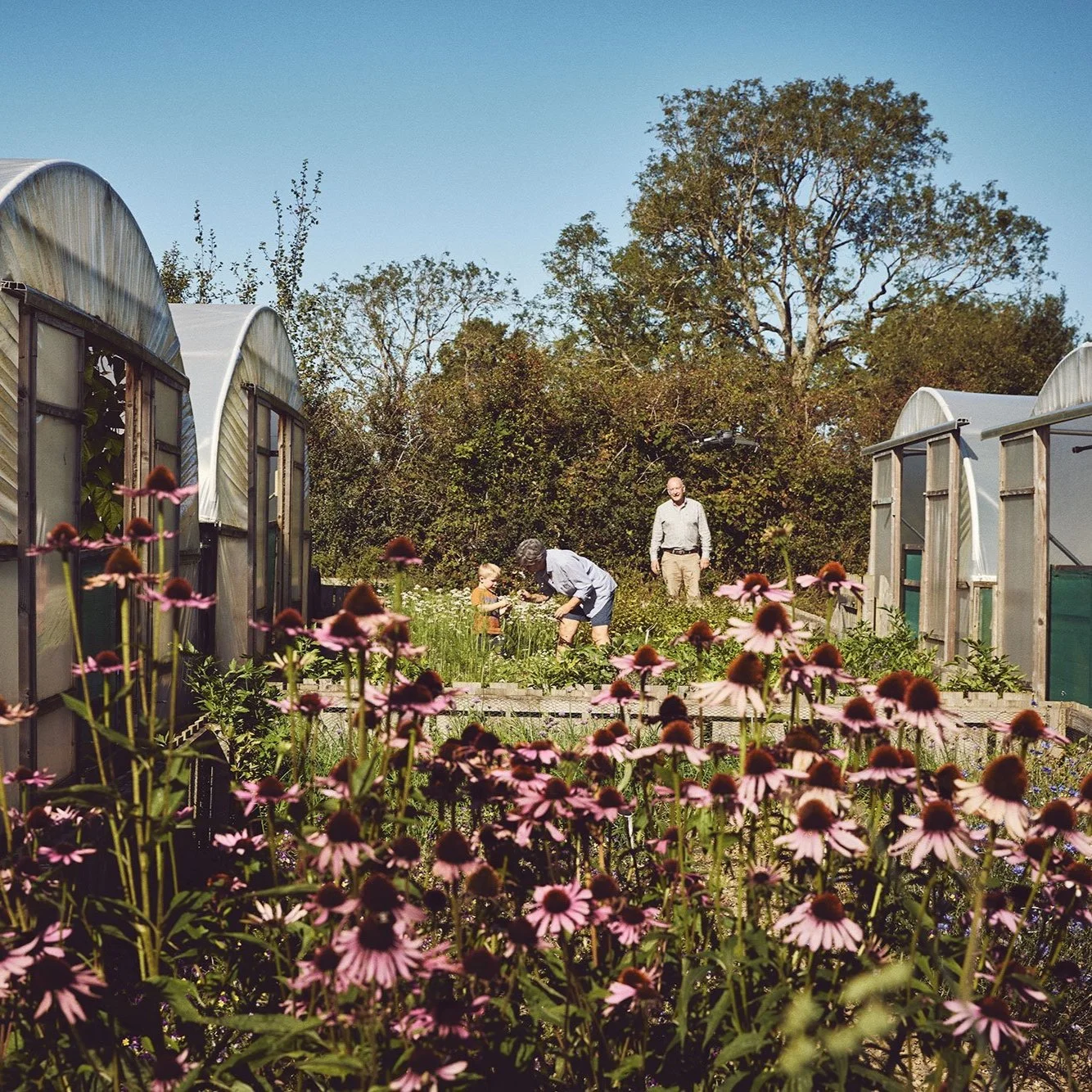 SEP ‘24 - SITE VISIT 6