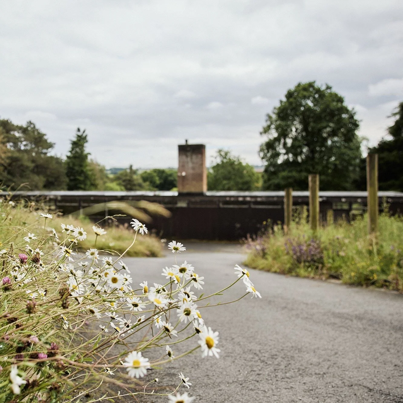 JUNE ‘24 - SITE VISIT 5