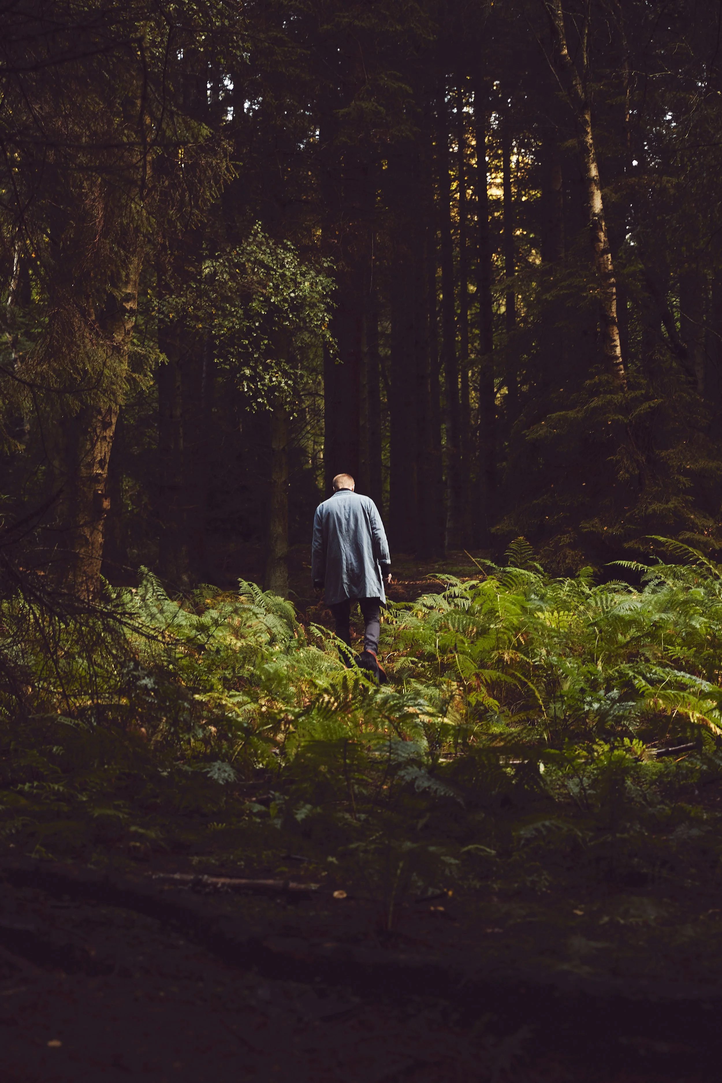 CHEF ALEX NIETSVOURI