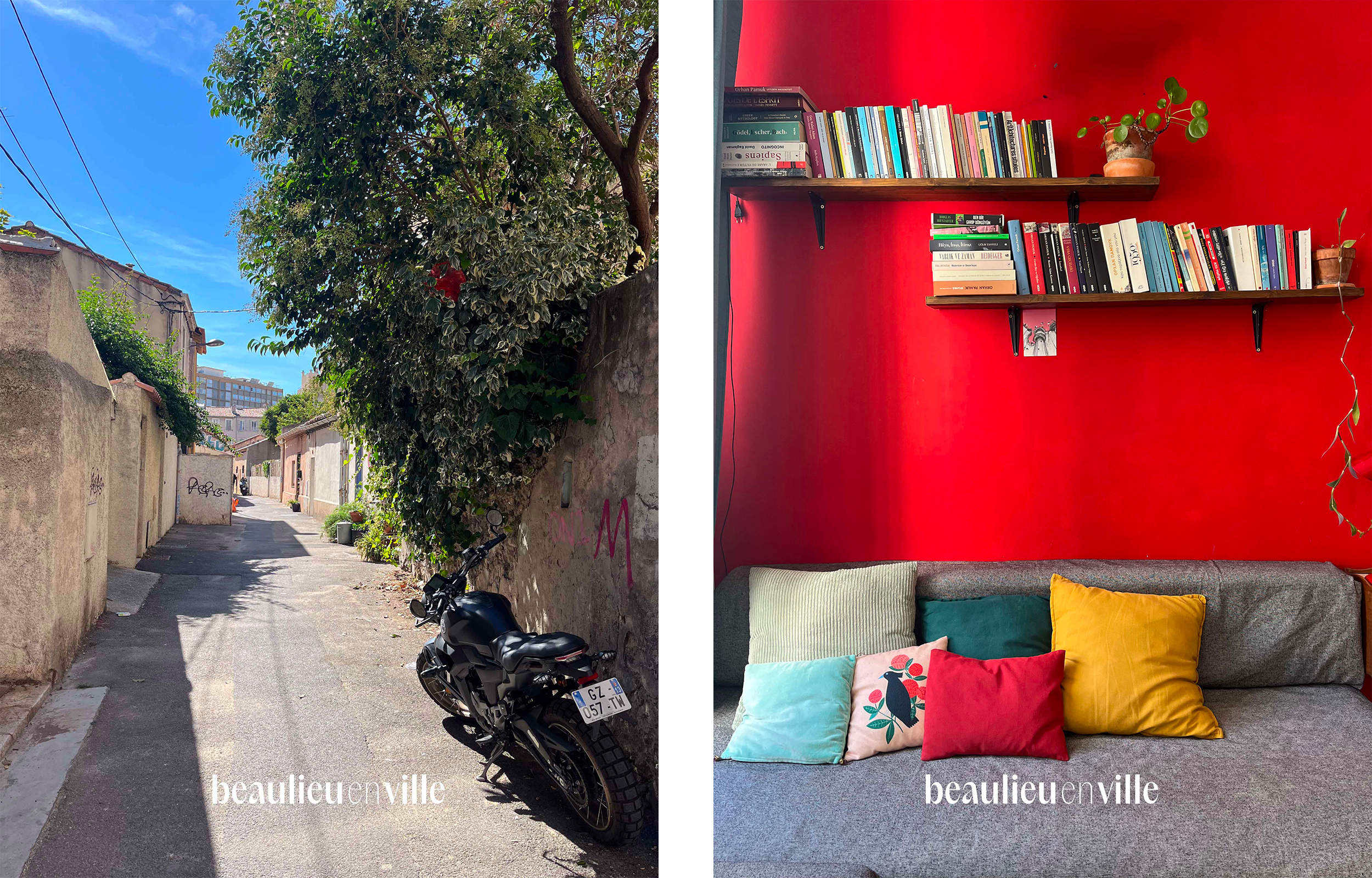 photo_d3d313101ad6091e61f37ca30080775e (1).png