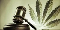marijuana_300.jpg