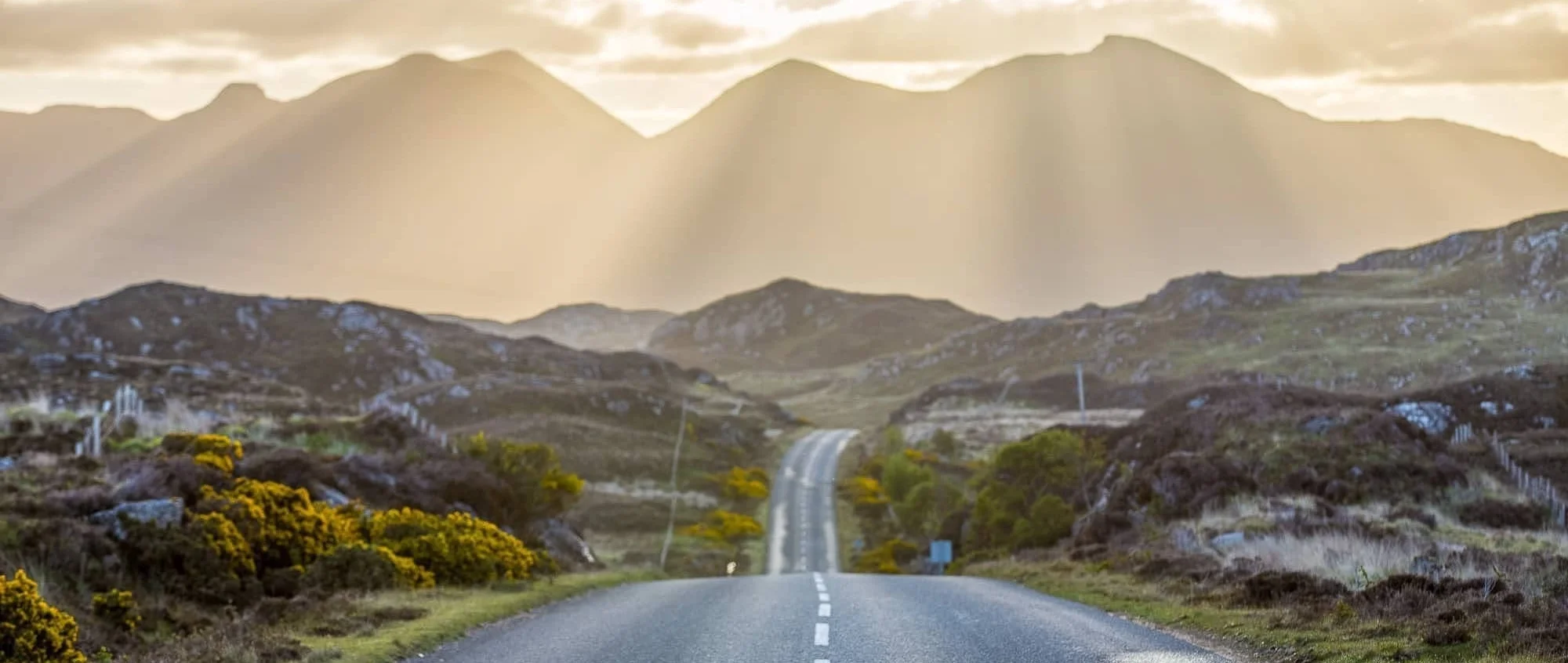 nc500.jpg