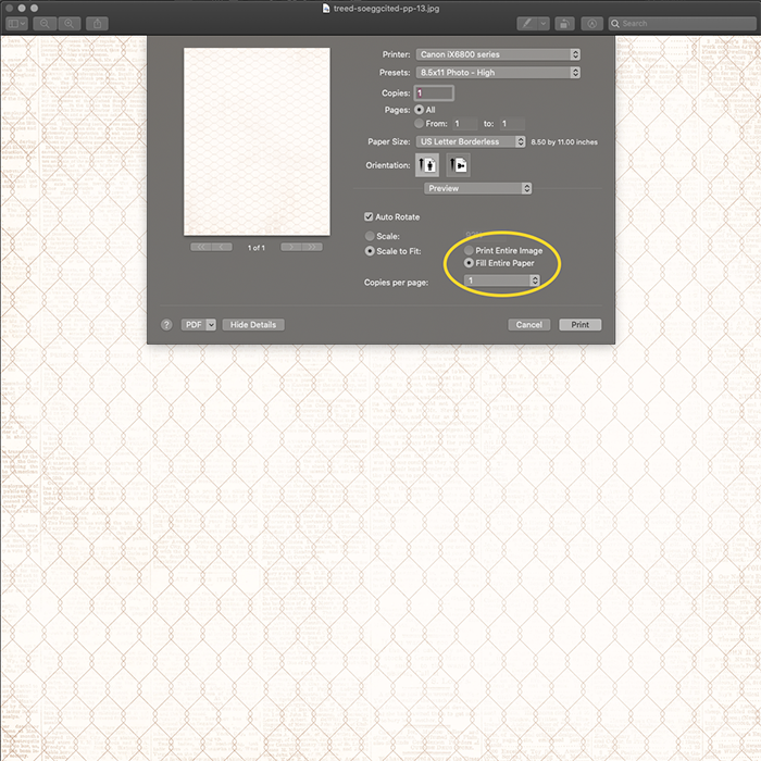 printer that prints 12x12