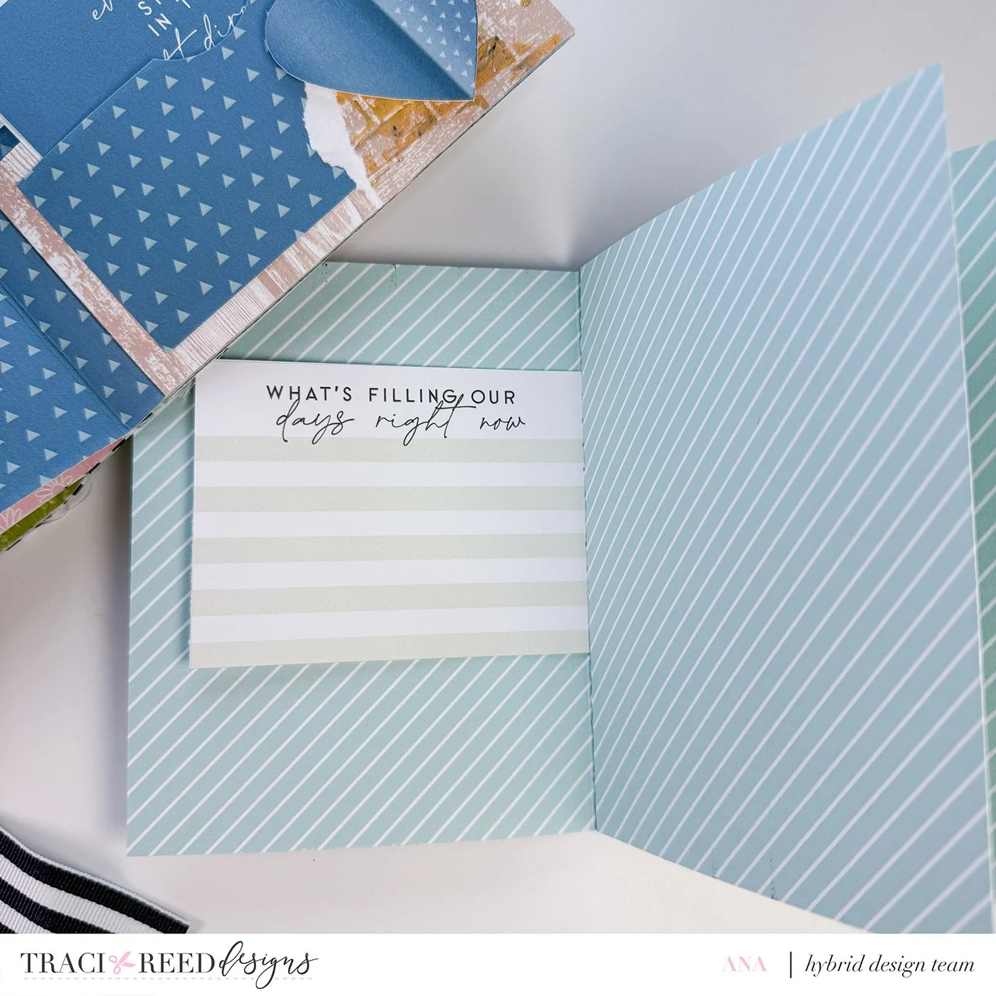 Ana - SF Routine - Junk Journal Album - 1x.jpg