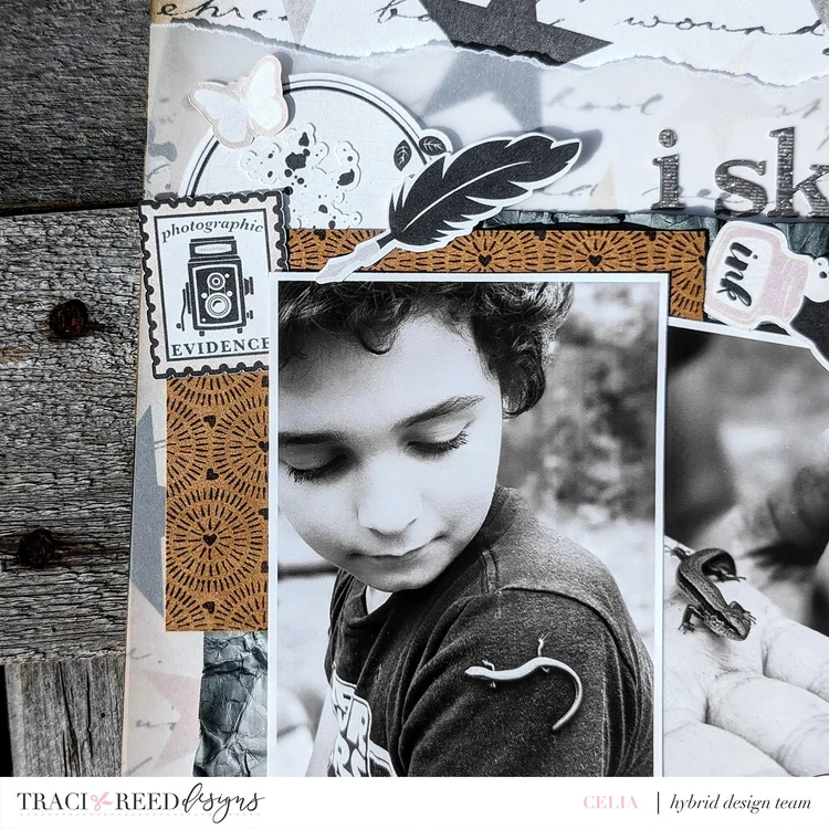 Let's Hear It For The Boys with Celia! — Traci Reed Designs