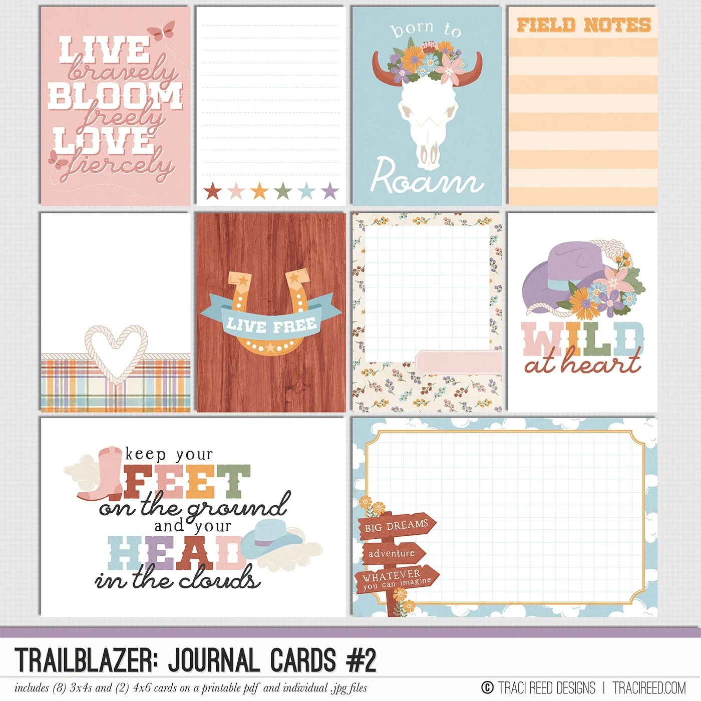 Trailblazer Cards #2