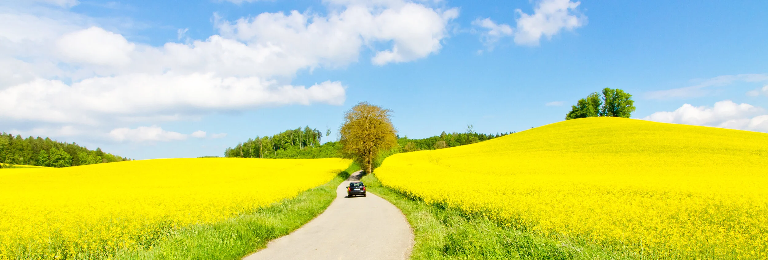 Yksityisautoilusta tuli liikennepolitiikan hyvä vihollinen – mutta ilman autoja Suomi ei tule toimeen