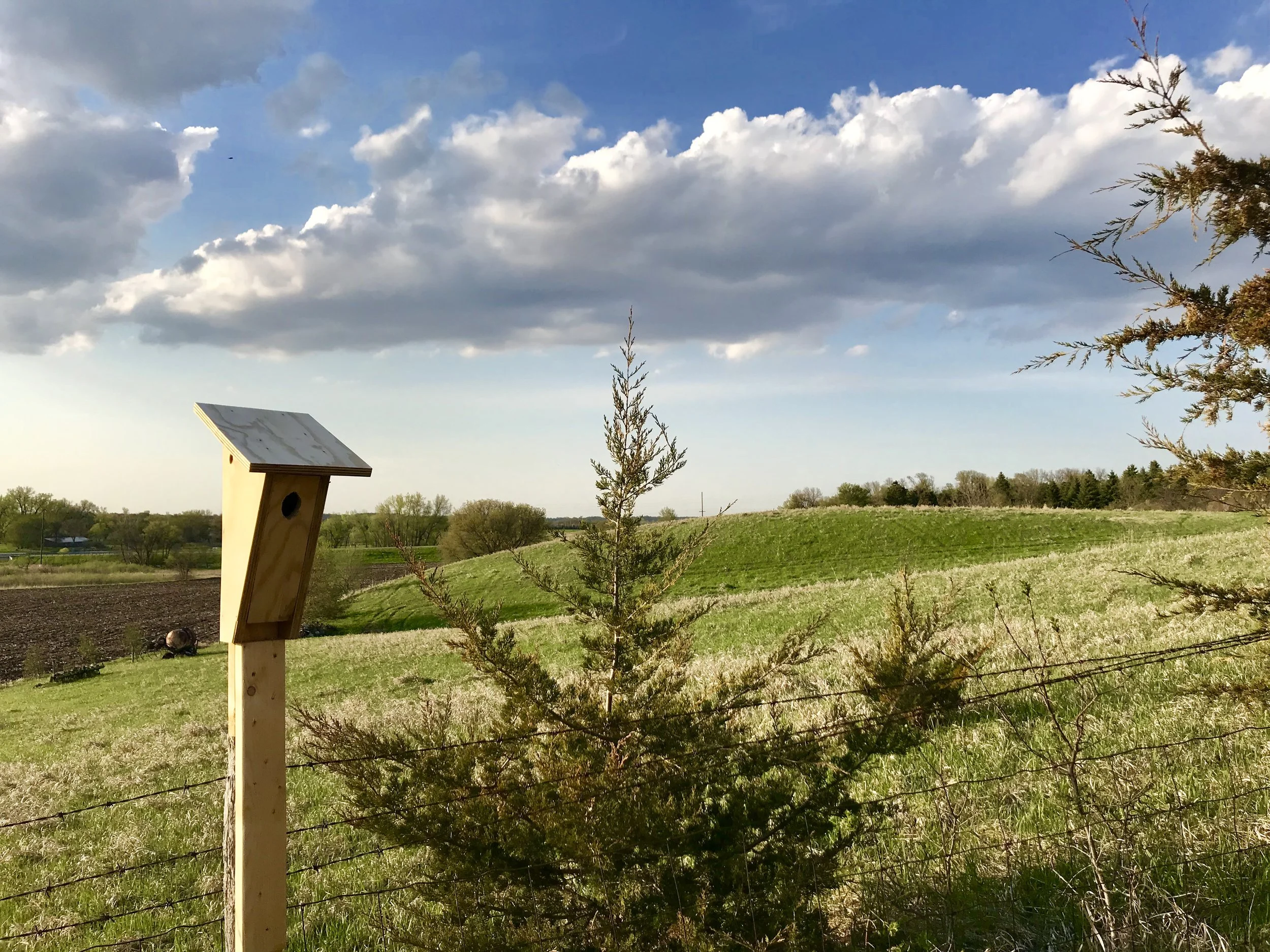 Bird House Exhibit A (After Modification)