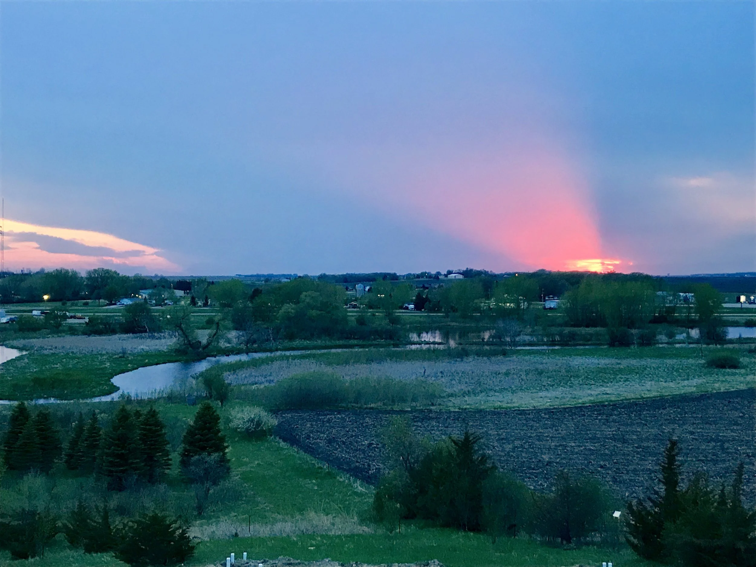 God of tiny frogs, beautiful sunsets, all of creation, and also, our hearts.