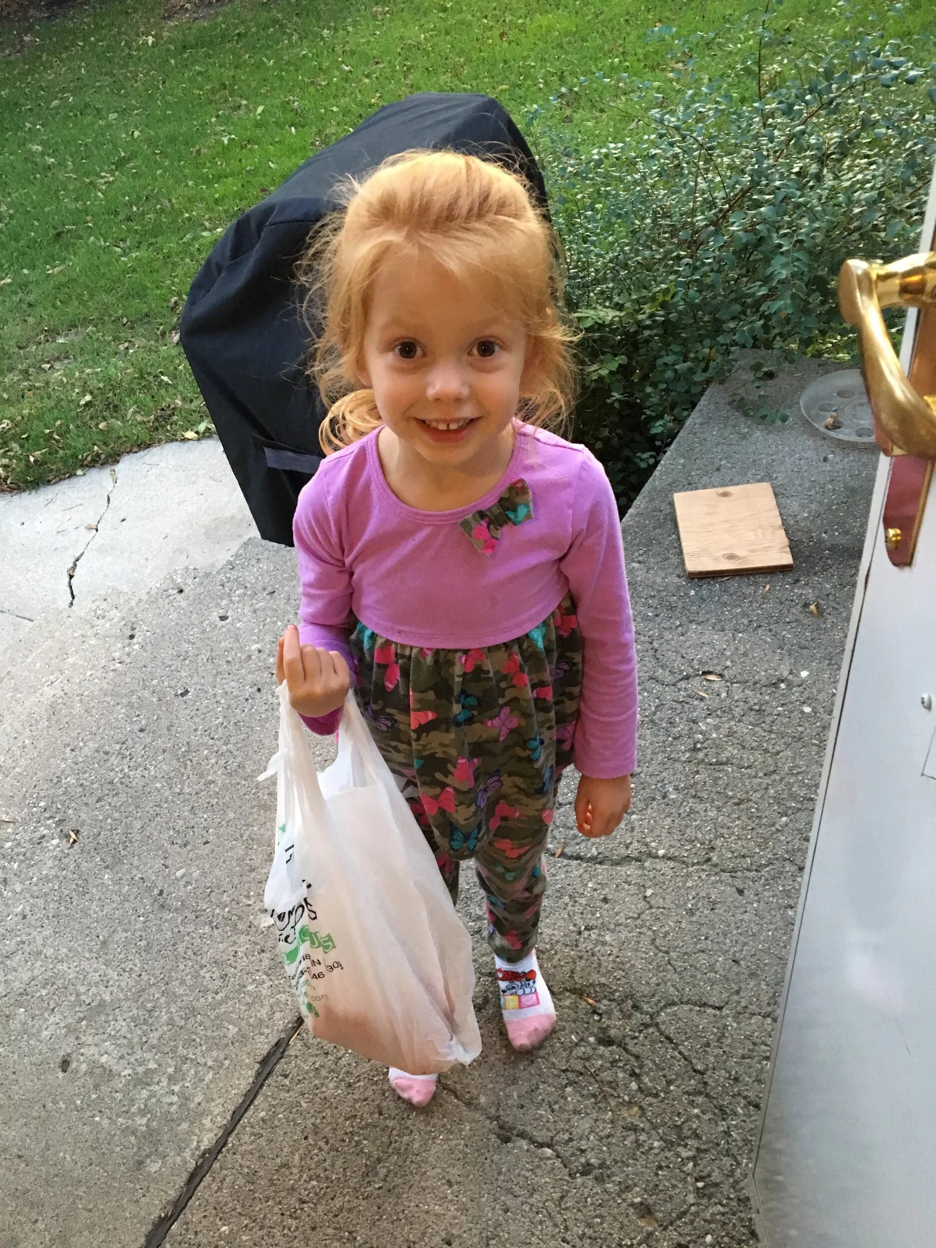 The doorbell rings and this beautiful smile makes my day. All summer this happened once or twice a week with bags of tomatoes and armfuls of cucumbers! The blessings of neighbors!