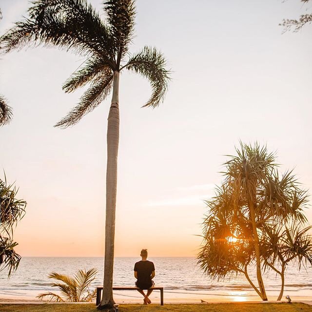 Self isolation accompanied by only a palm tree and a sunset. Nothing more, nothing less.