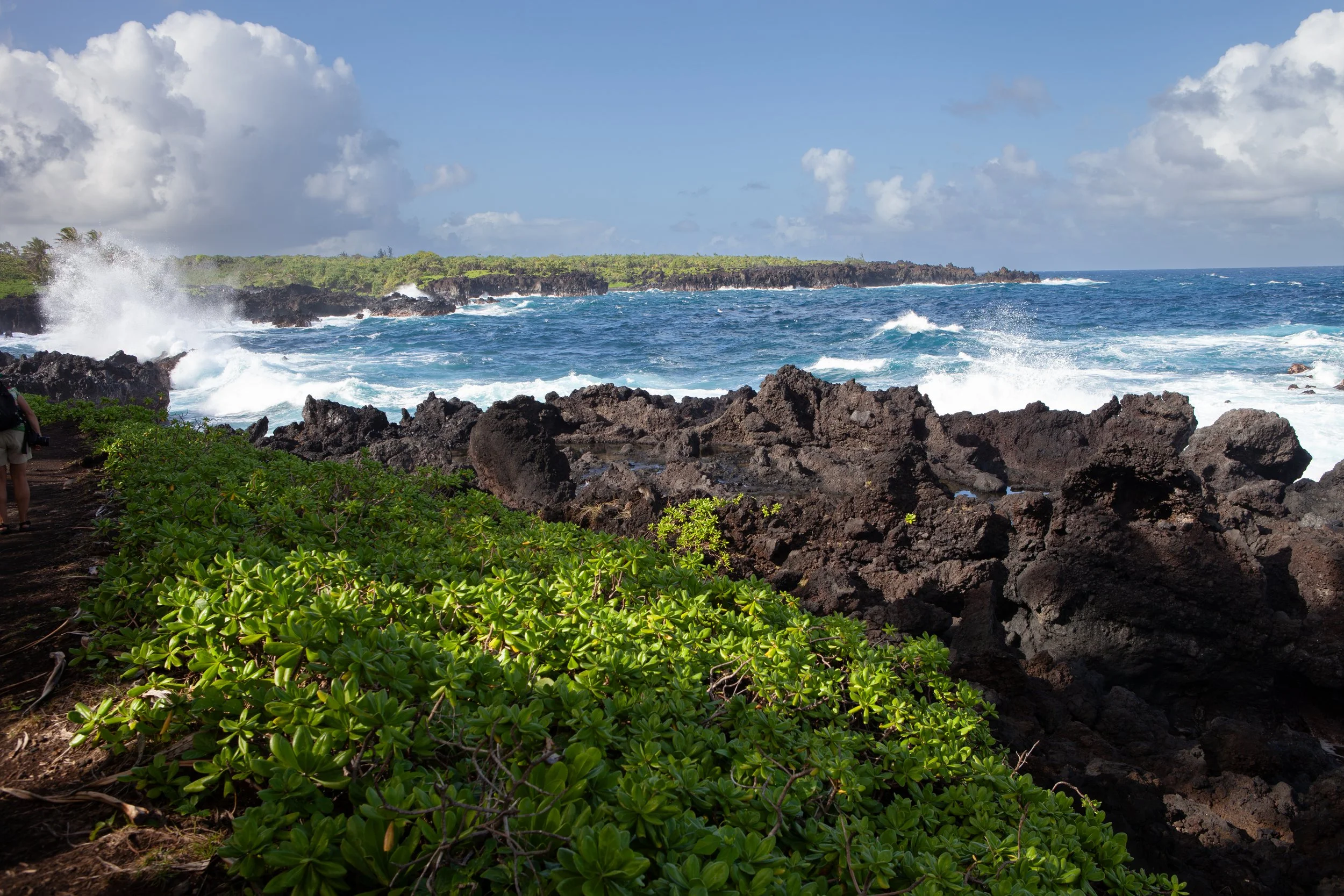 mauicard4-250.jpg