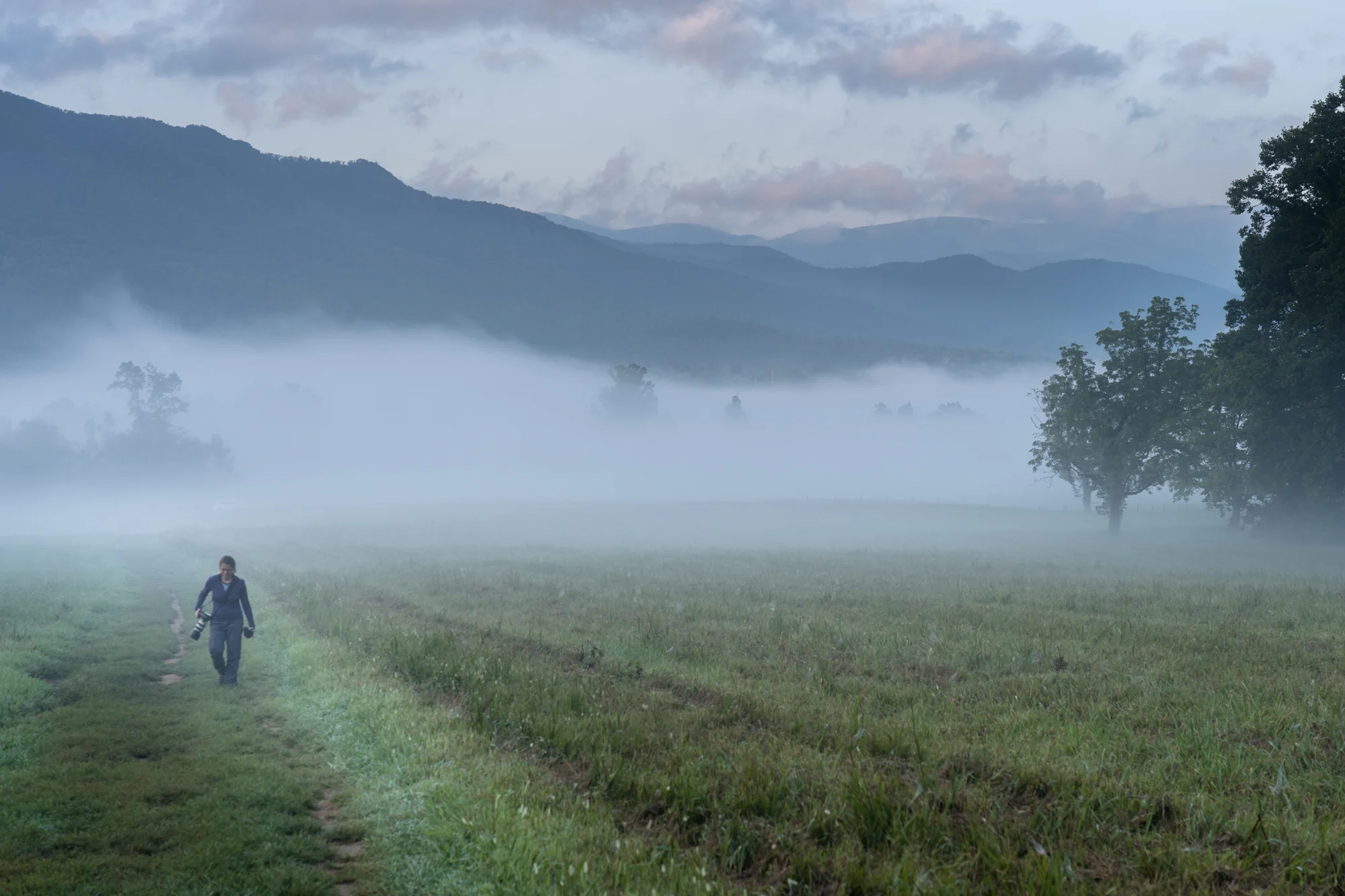 Salwa ( WanderingPhocus.com ) looking for a good spot to capture the morning mist across the valley in Cades Cove.