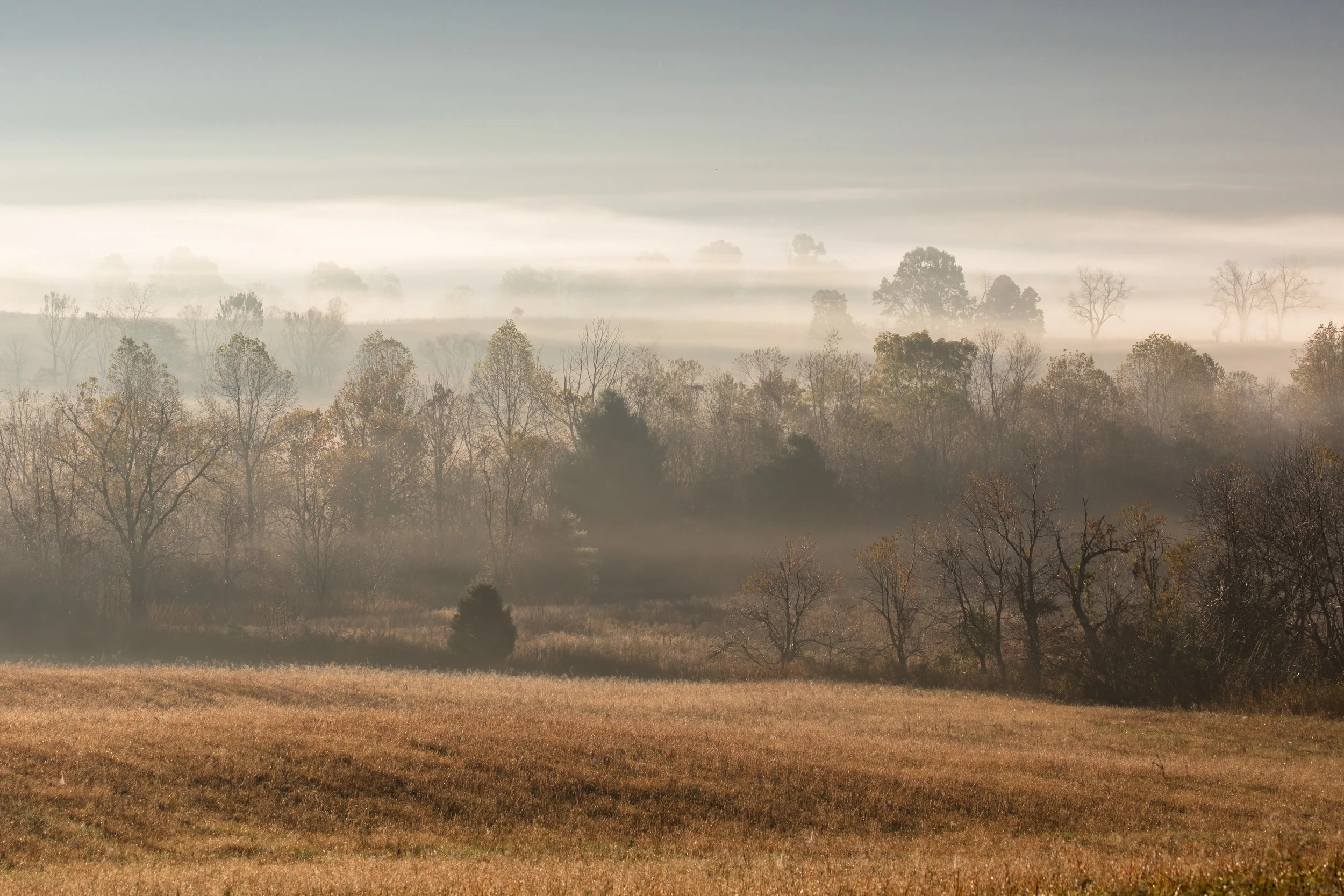 Misty morning across the valley in Cades Cove