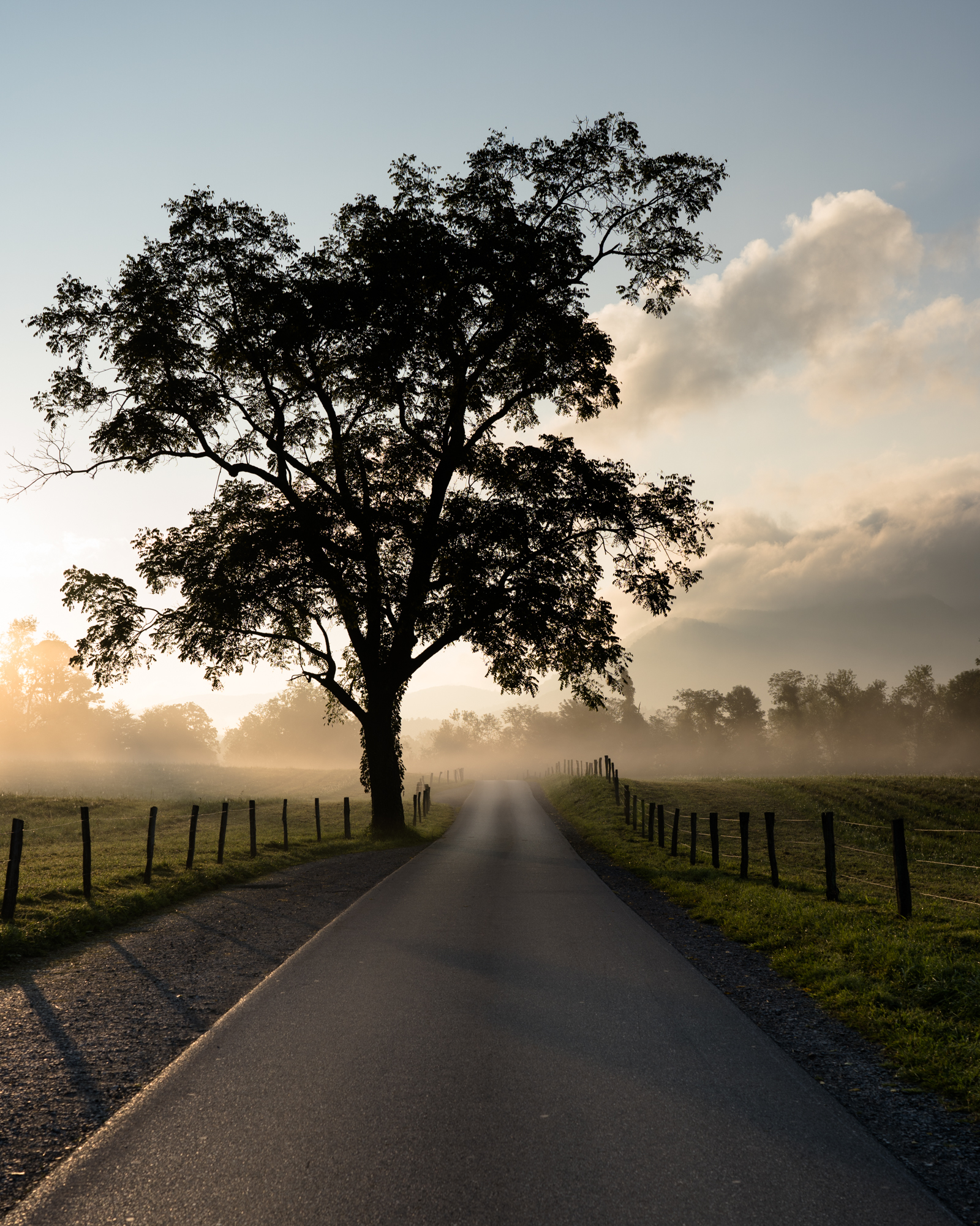 If you get to Cades Cove at the right time of year you can have portions of the park all to yourself, at least for a few moments.
