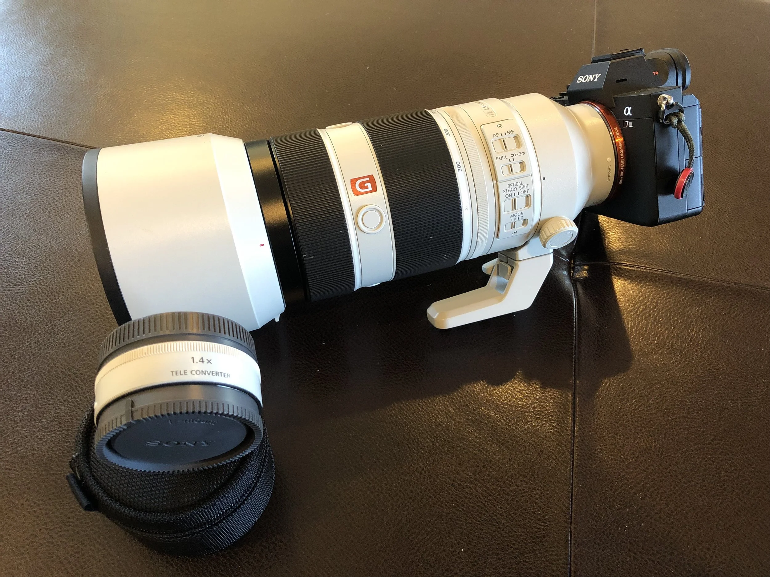 Sony A7III and 100-400mm lens