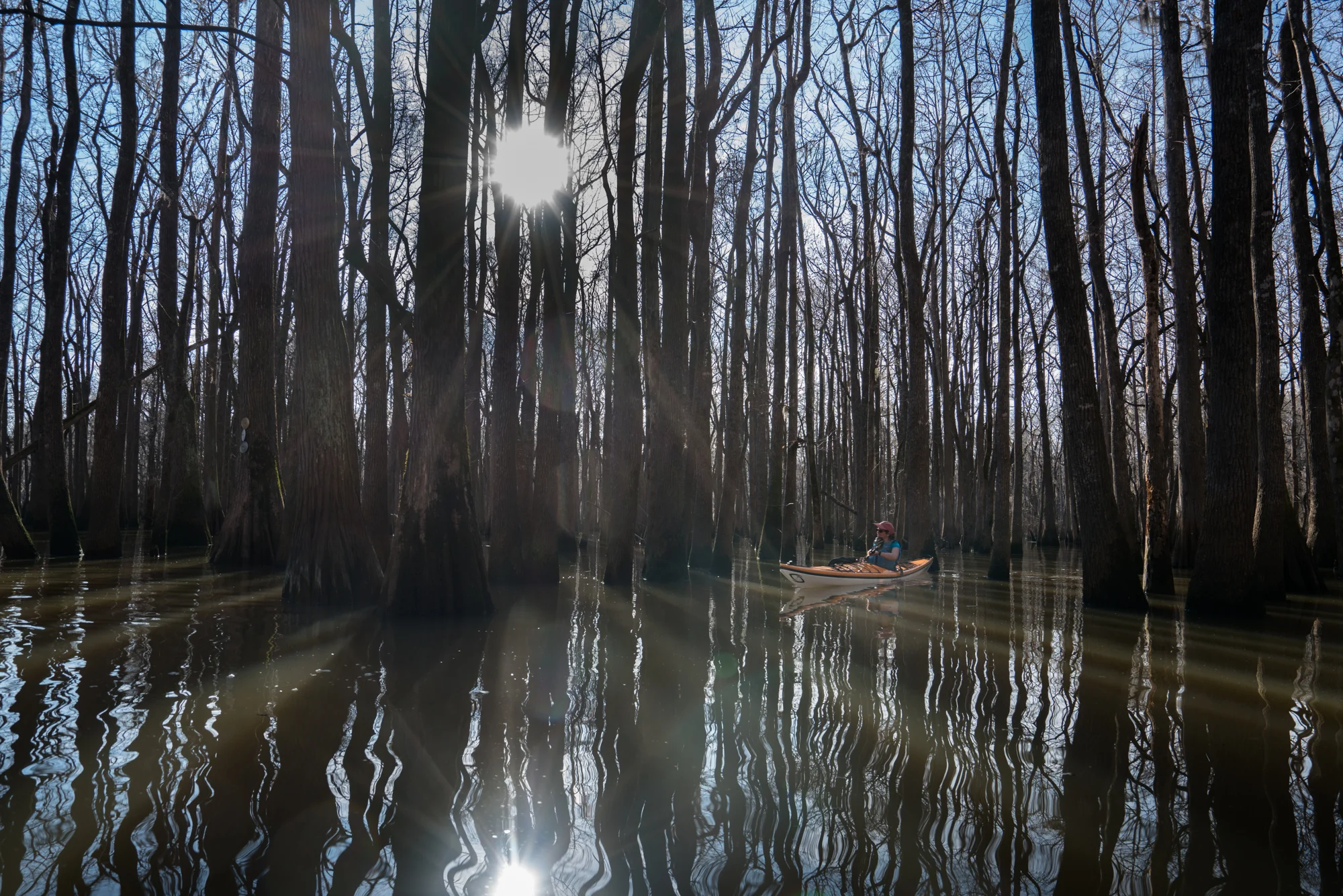 Getting near the end of the day and the shadows were getting longer as we paddled through the cypress trees in Sparkleberry swamp on the north-west end of Lake Marion, SC.